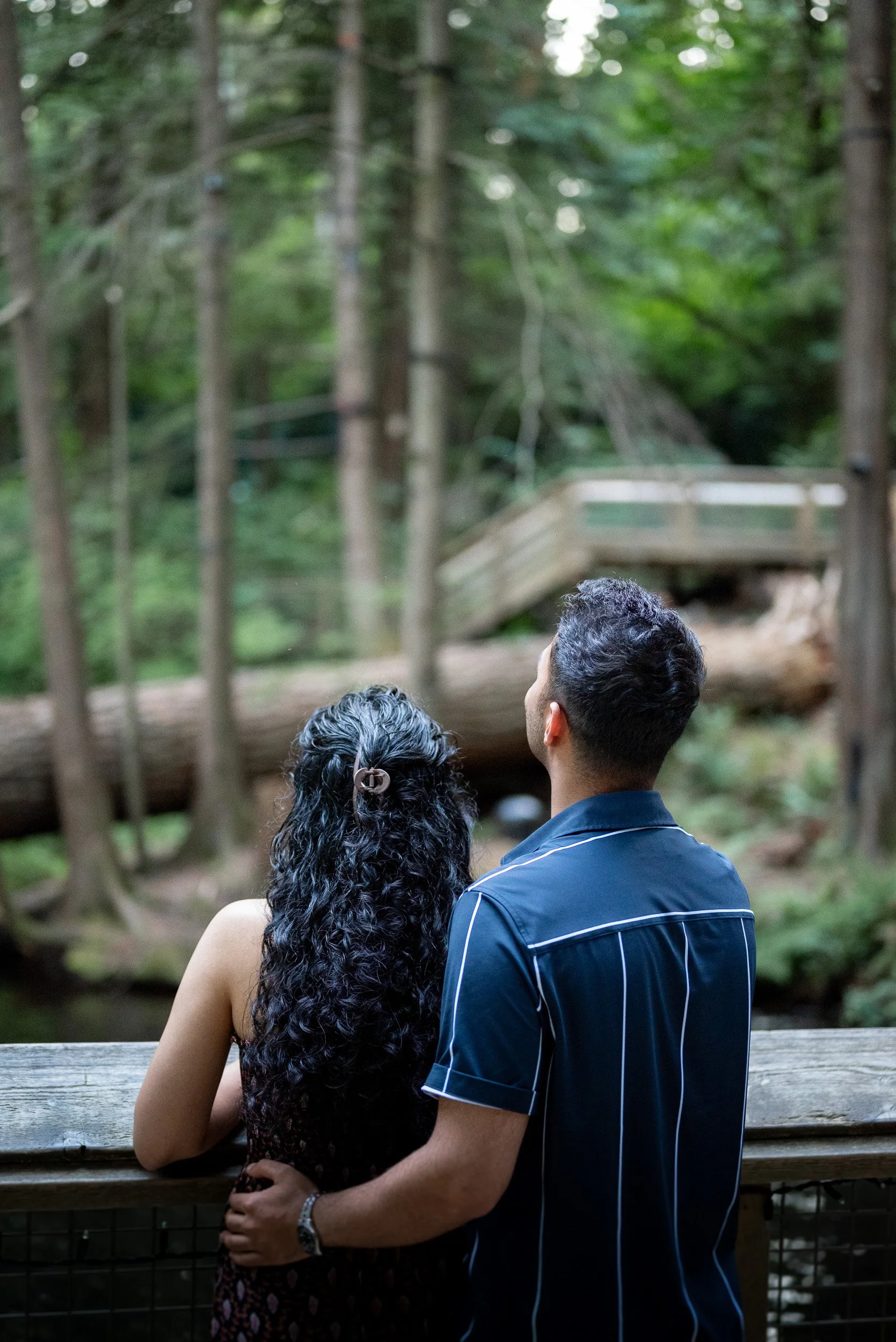 CapilanoSuspensionBridgeProposal-0092.jpg