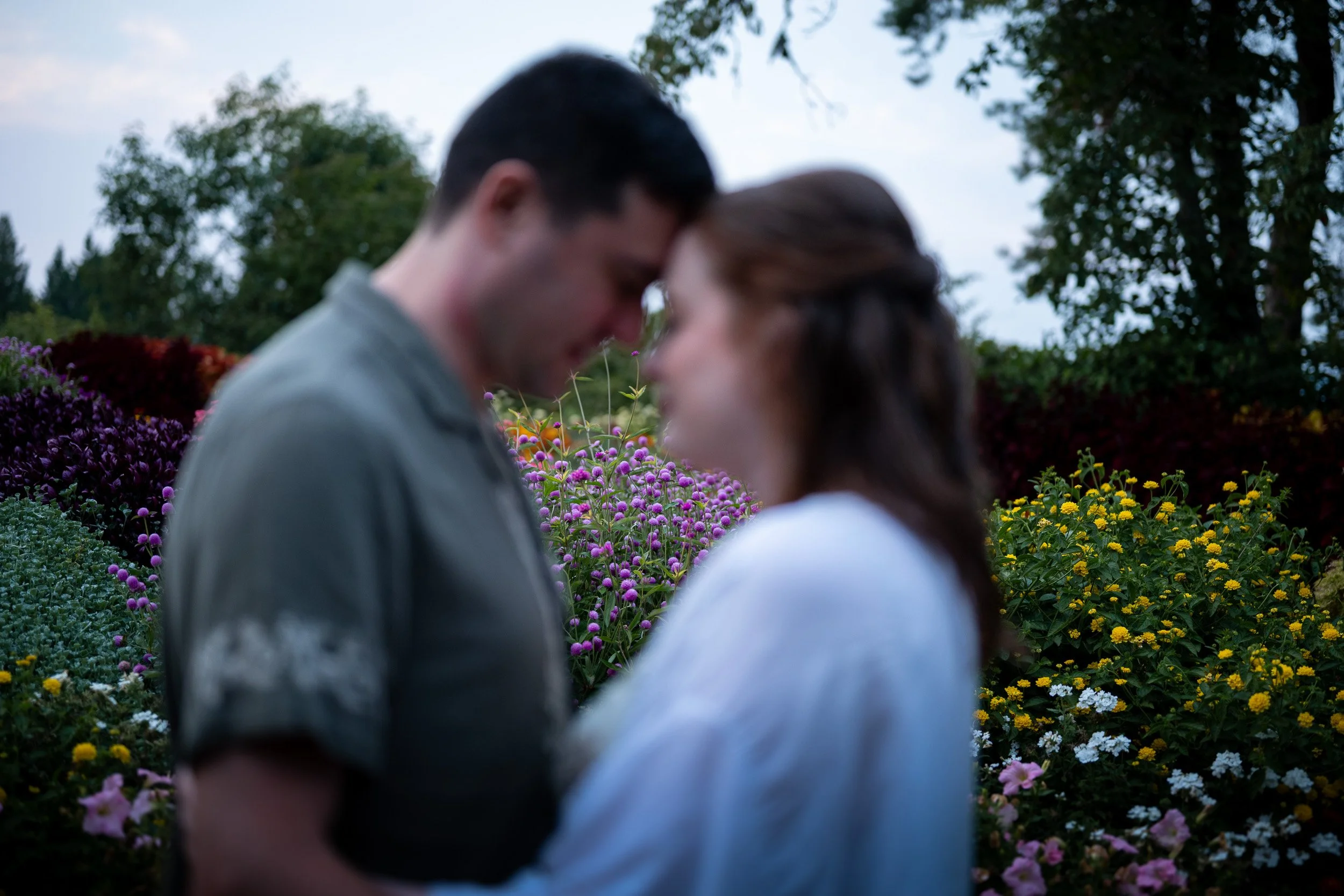 QueenElizabethPark_Engagement_Photographer-0074.jpg
