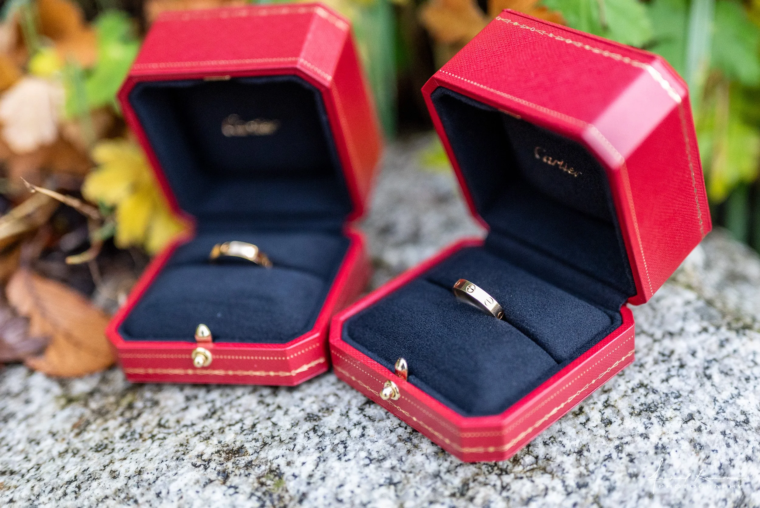 Two red jewelry boxes with gold accents, open to display rings inside, placed on a granite surface with fallen leaves around.