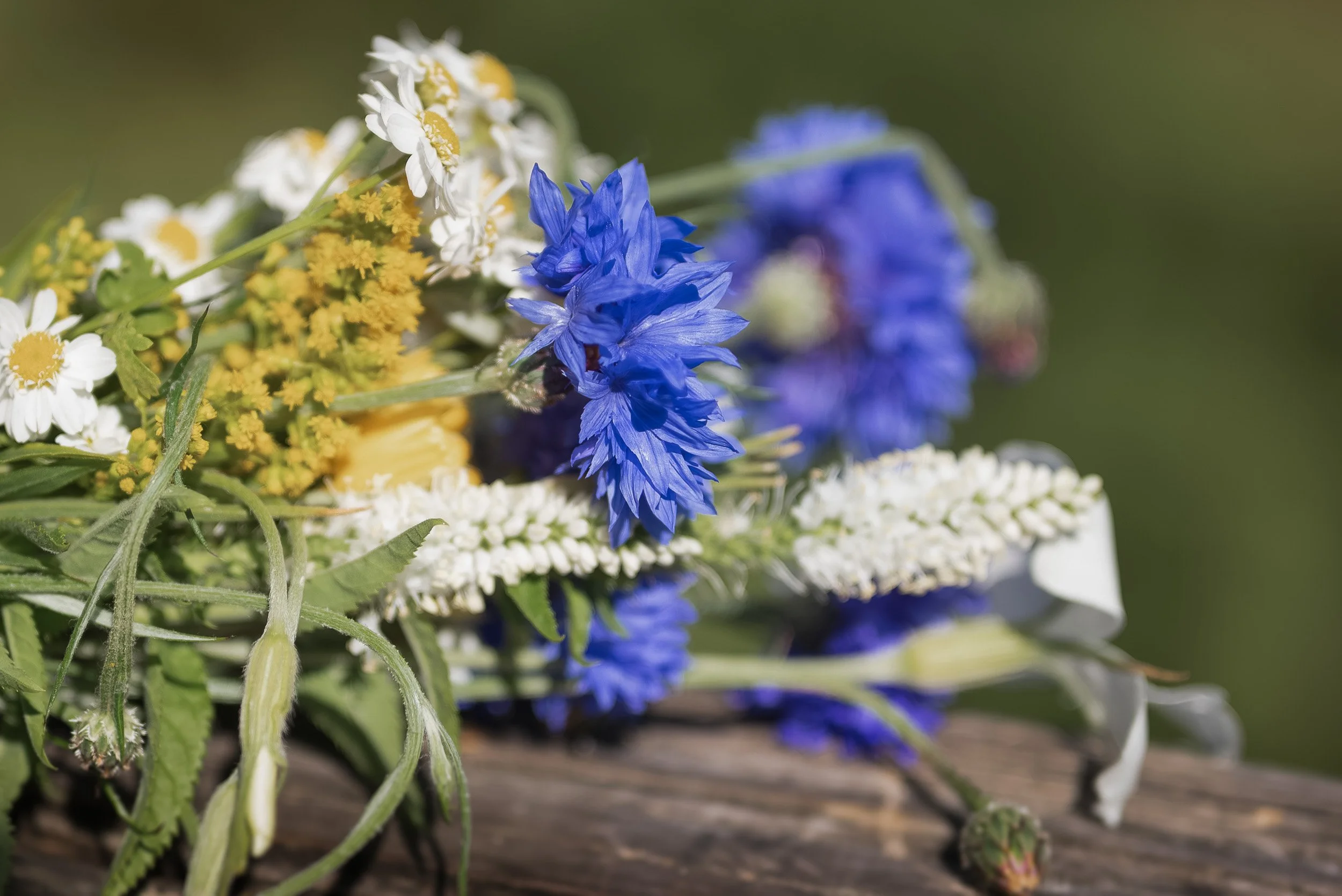 Bloedel_Conservatory_Wedding_Photographer-0129.jpg