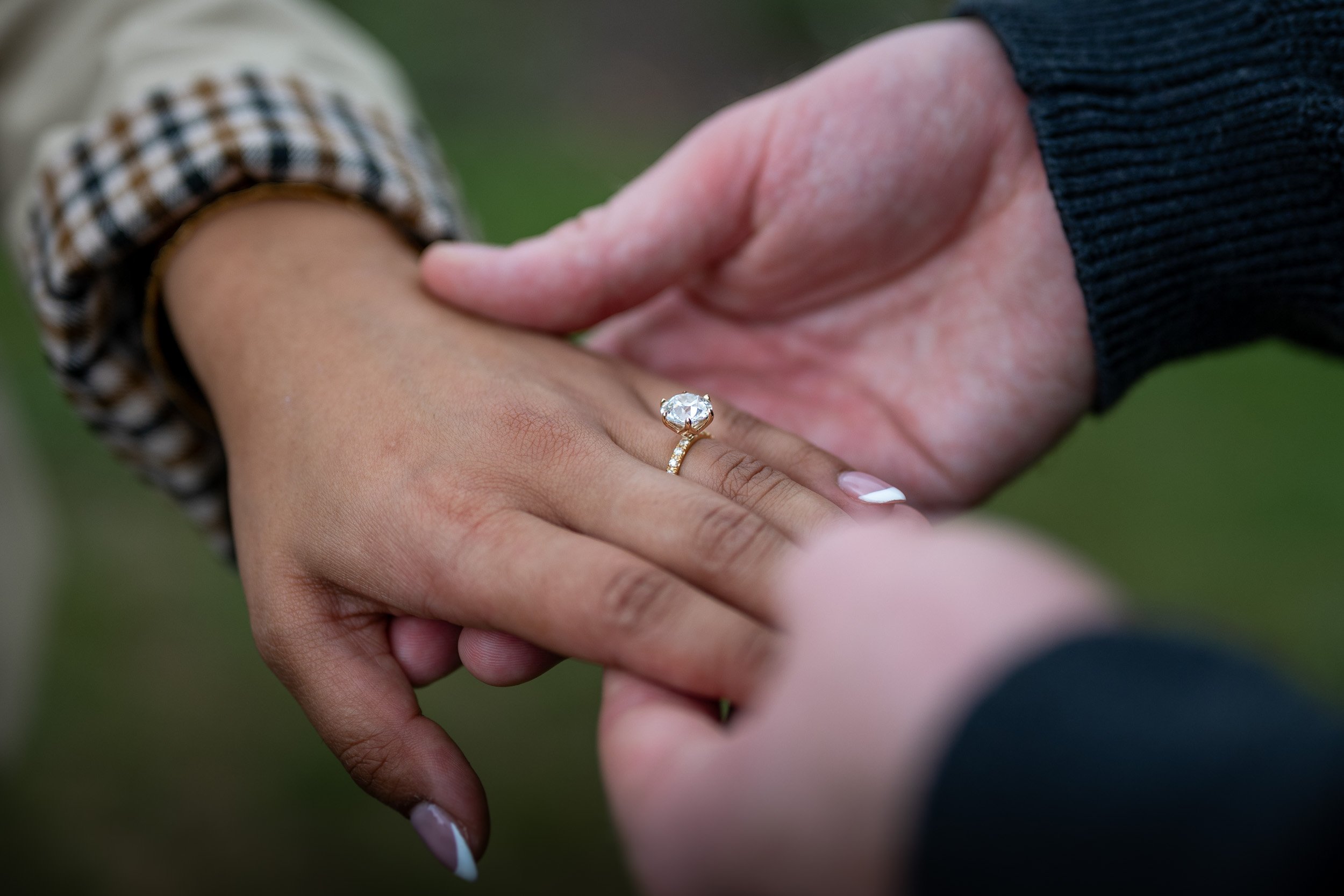 StanleyParkProposal-0119.jpg
