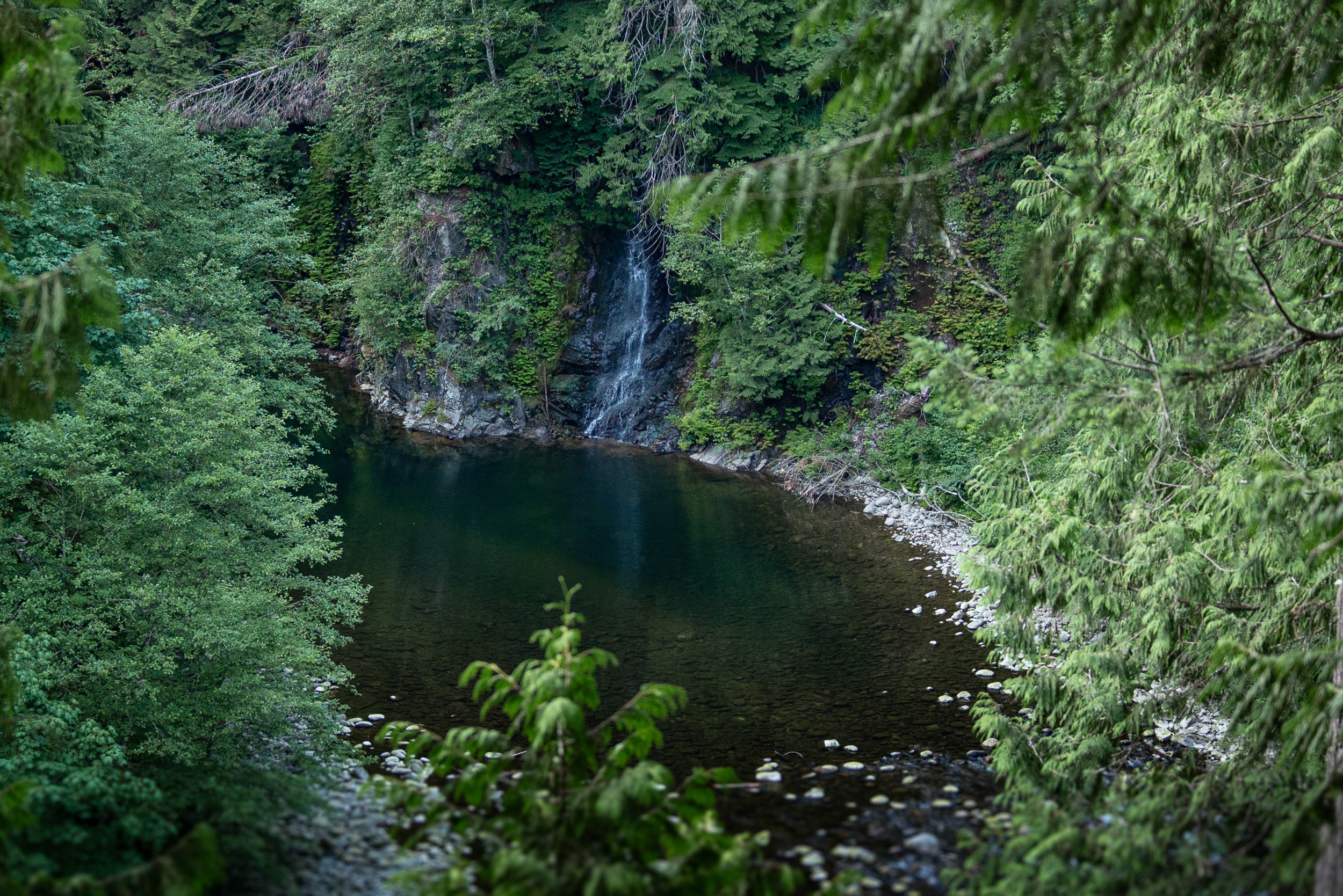 CapilanoSuspensionBridgeProposal-0071.jpg