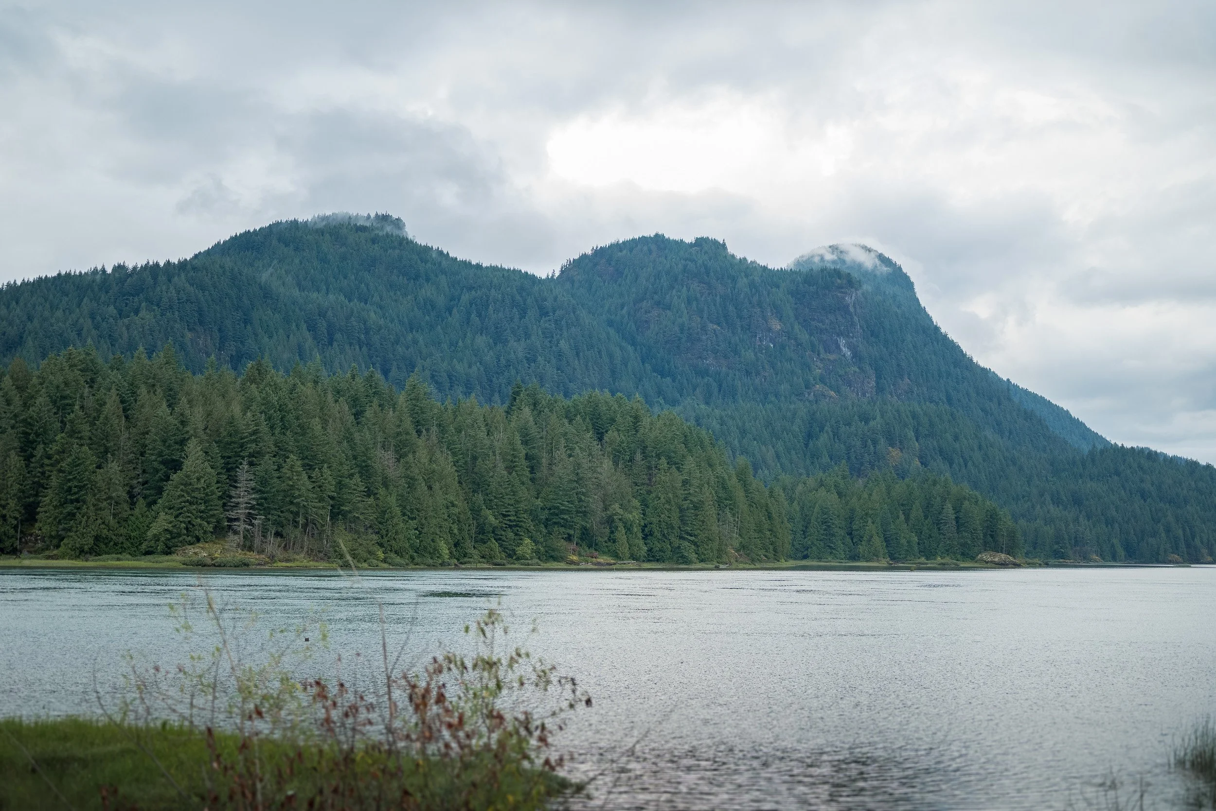 PittLakeEngagement-0074.jpg
