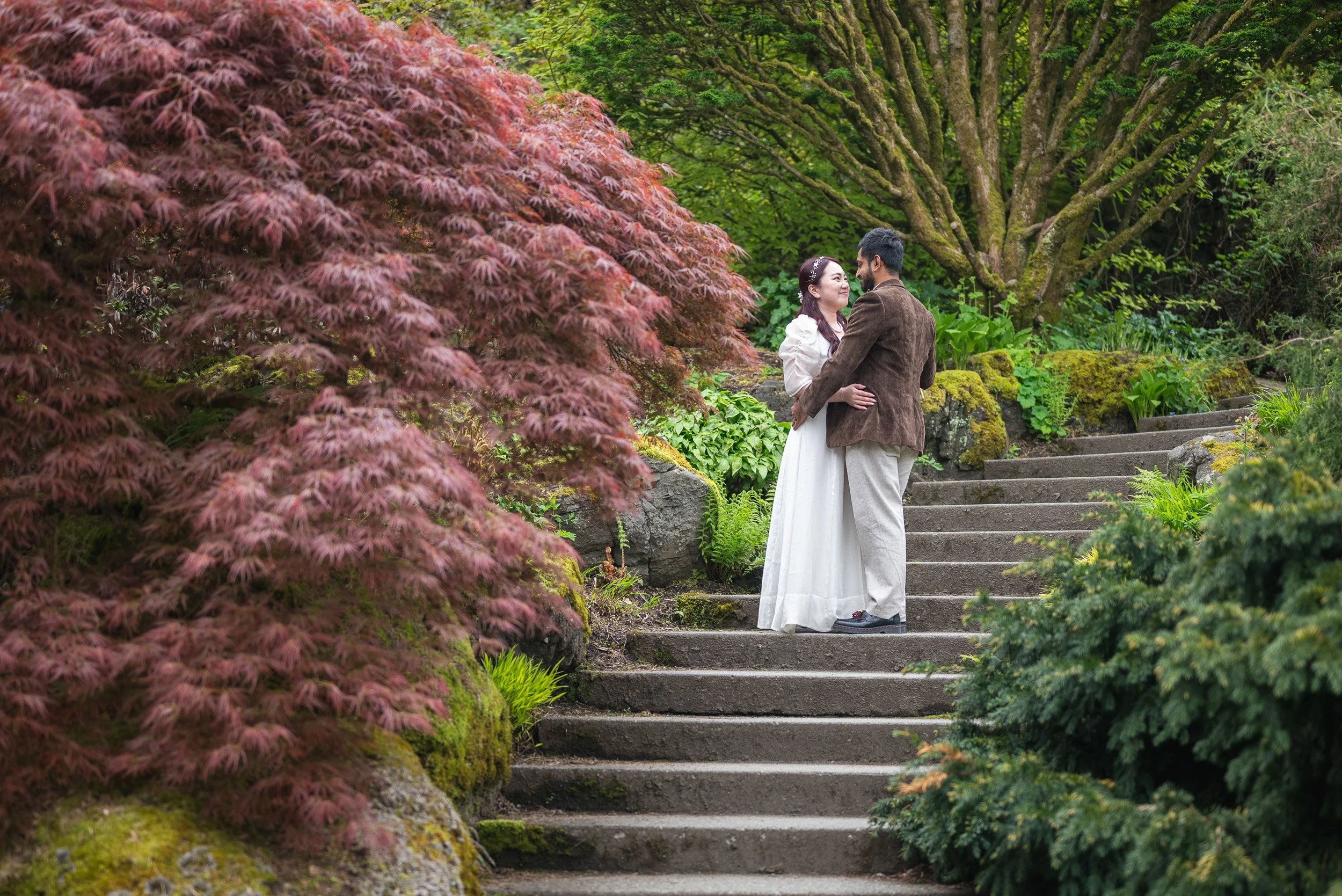 A couple stands on stone steps in a lush garden at Queen Elizabeth Park Elopement, looking into each other's eyes, surrounded by vibrant green foliage and a large red Japanese maple tree.