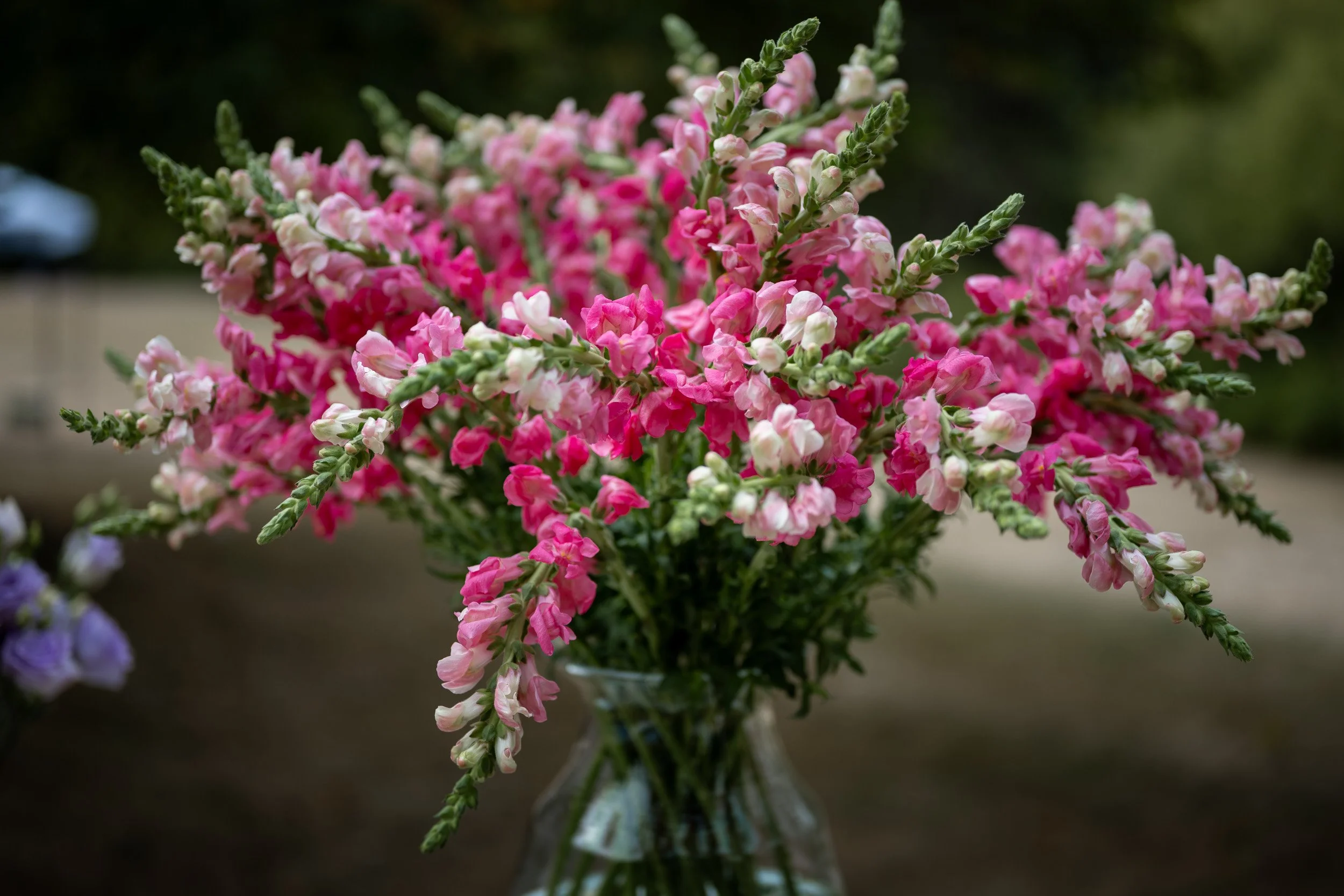 QueenElizabethParkWedding_GR-0013.jpg