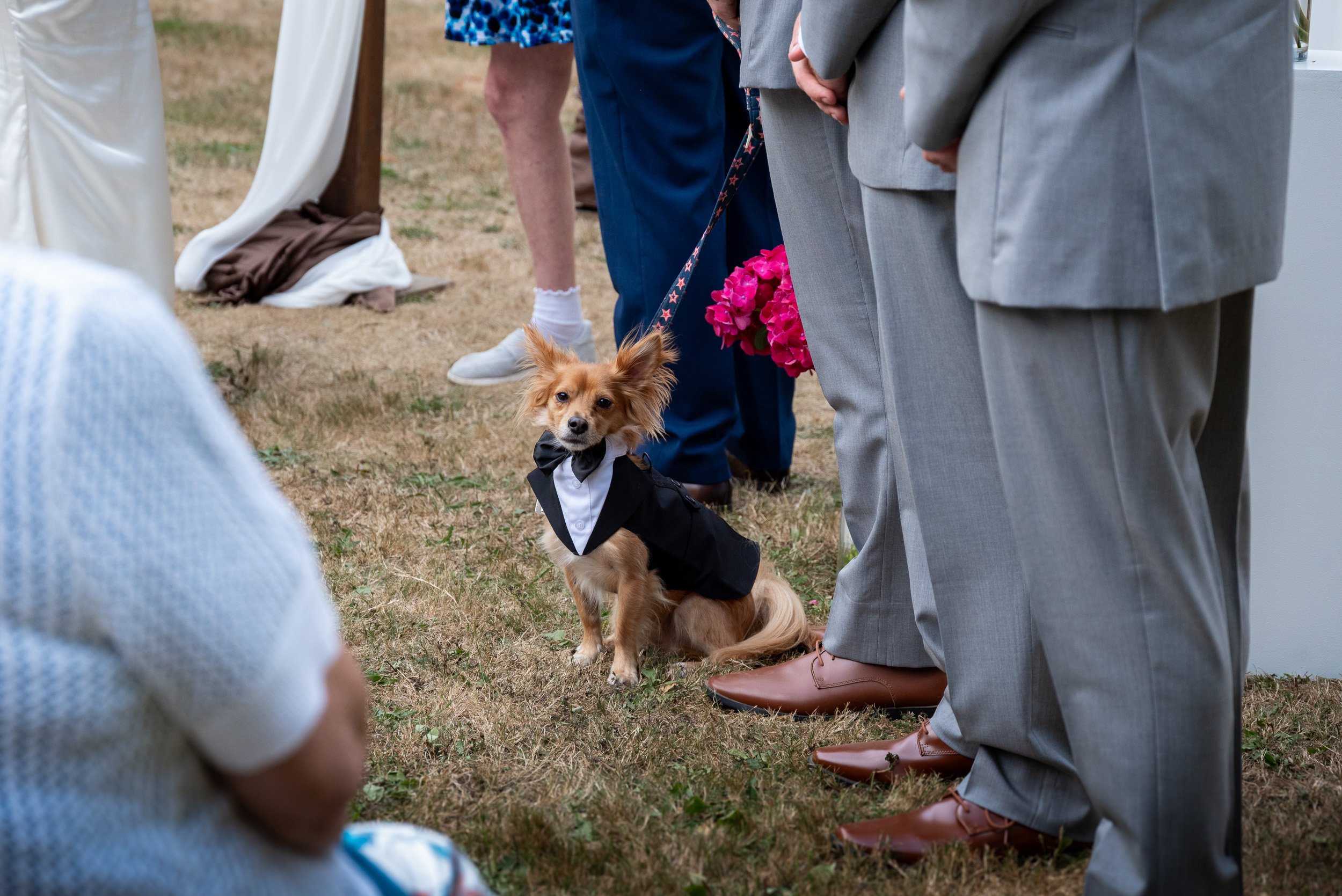 QueenElizabethParkWedding_C-0072.jpg