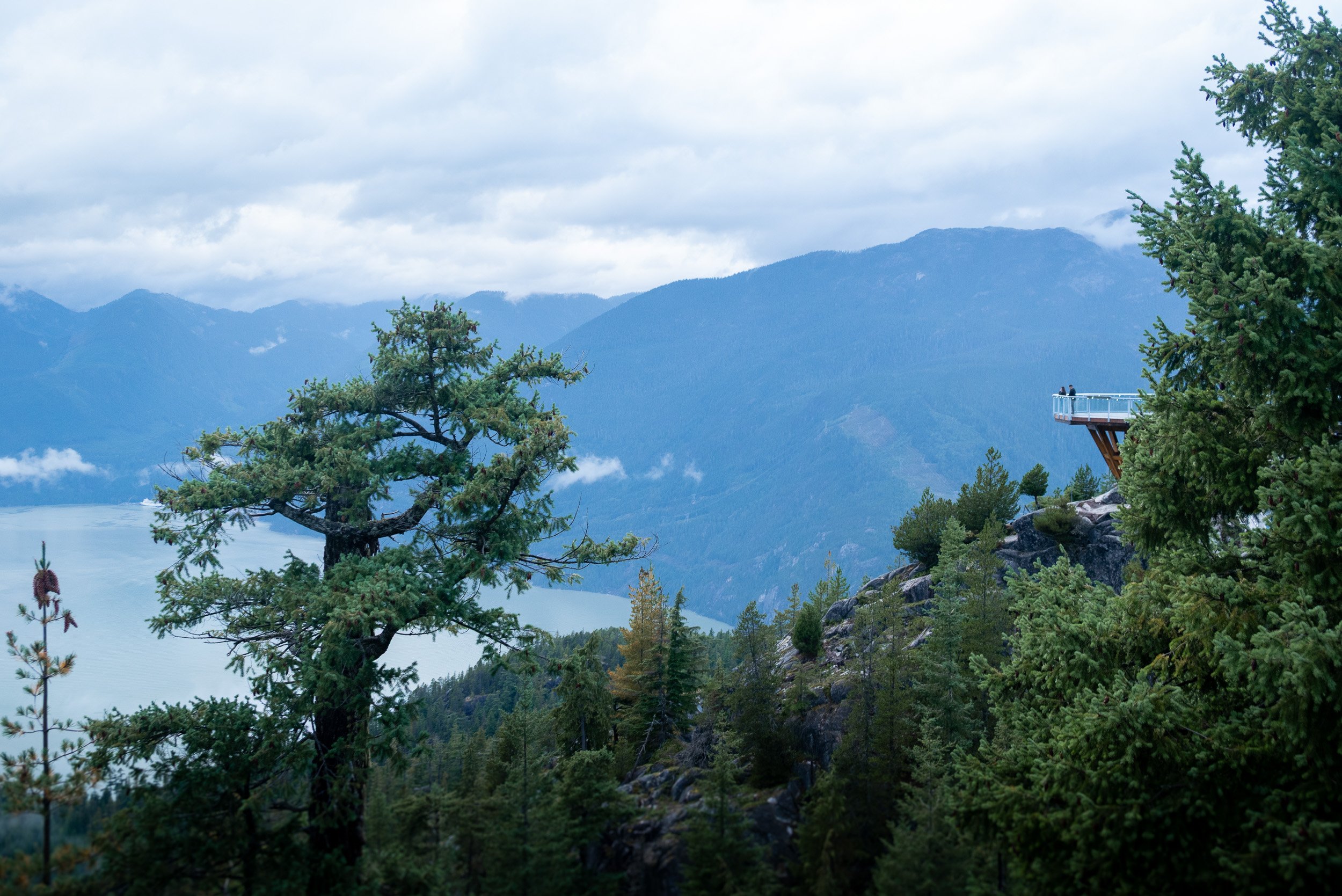 SeatoSkyGondola_Proposal_Photography-0060.jpg