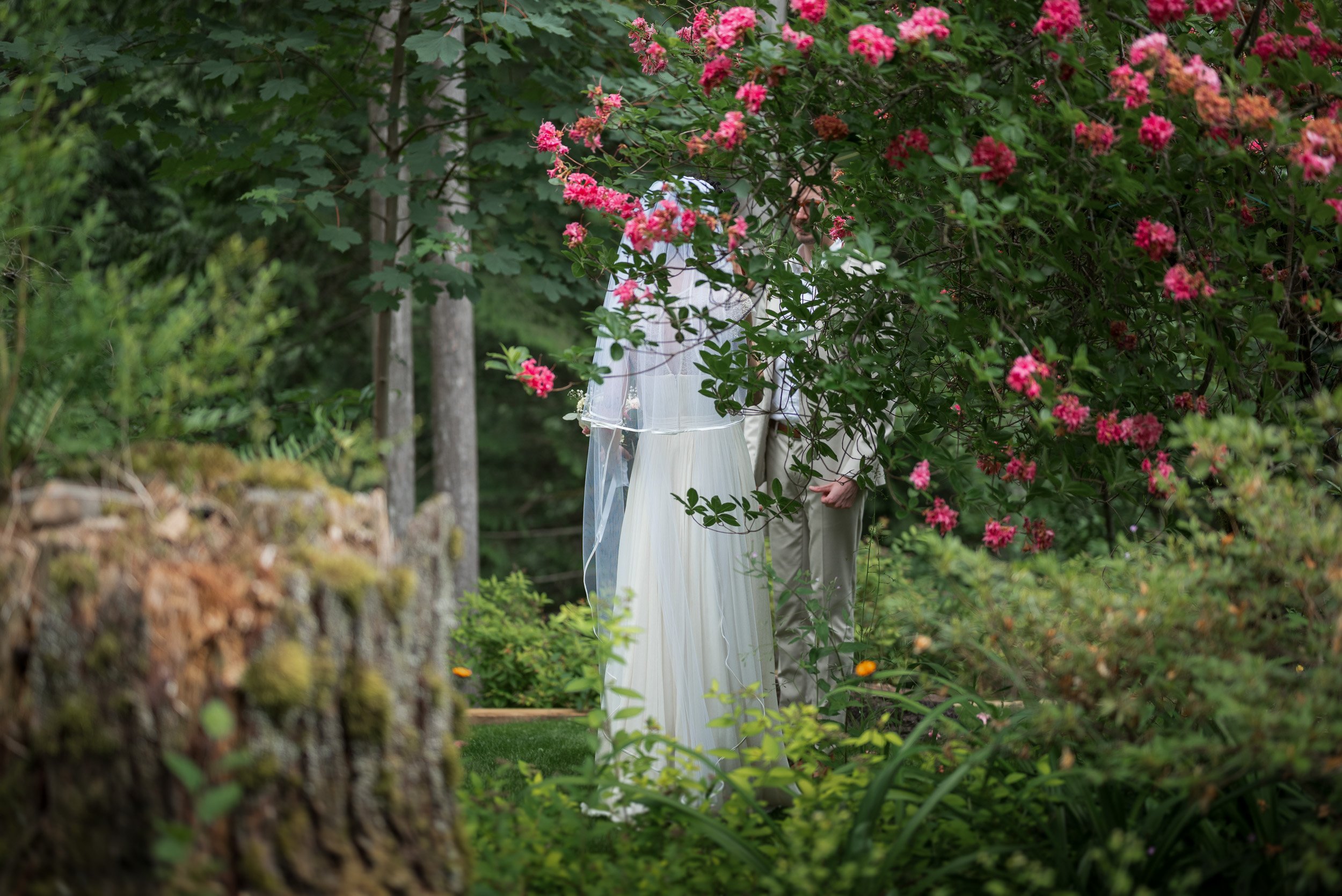 VancouverMicroWedding-0037.jpg