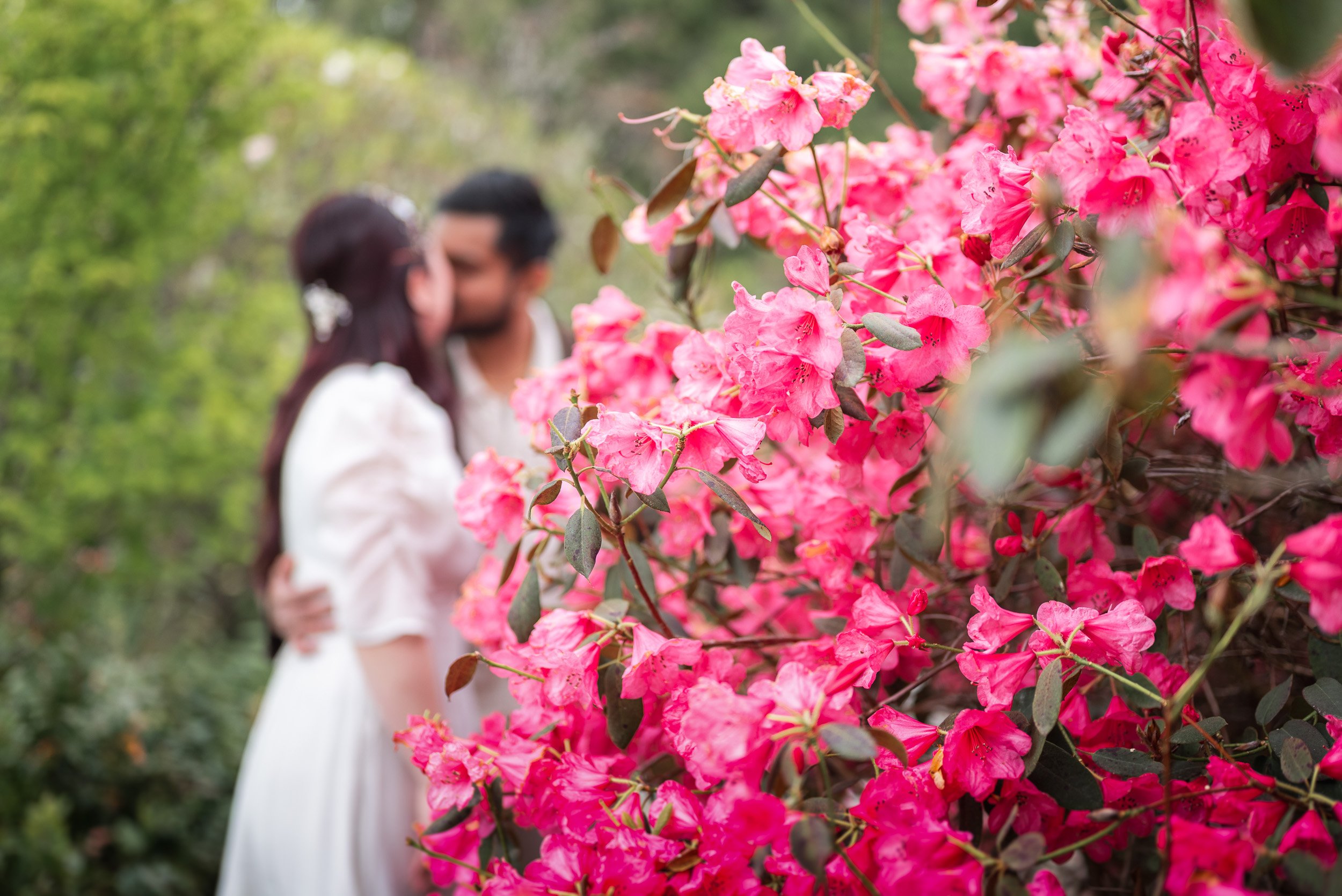 Bloedel_Conservatory_Wedding-0222.jpg