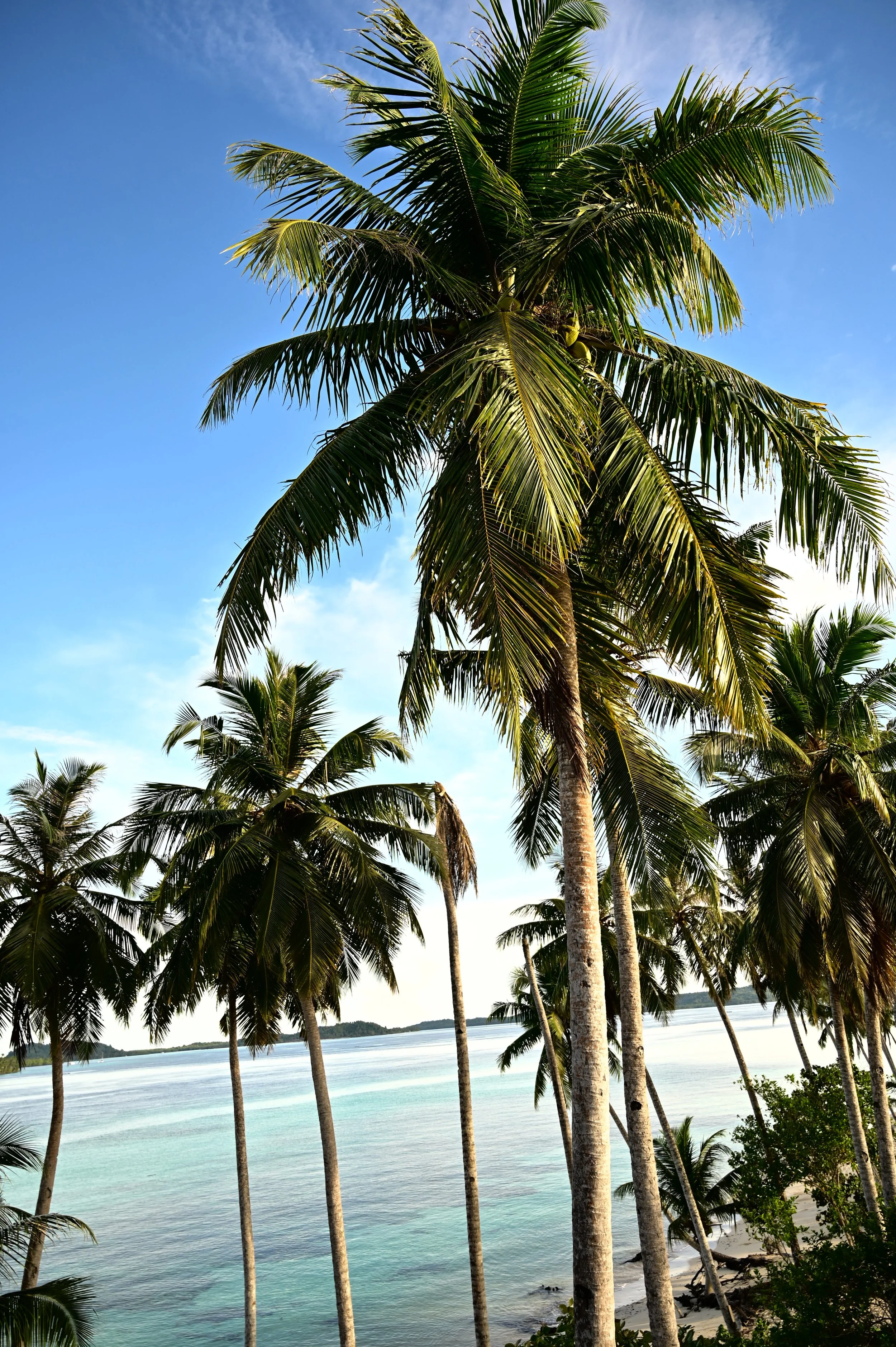 DSC_6267.JPG