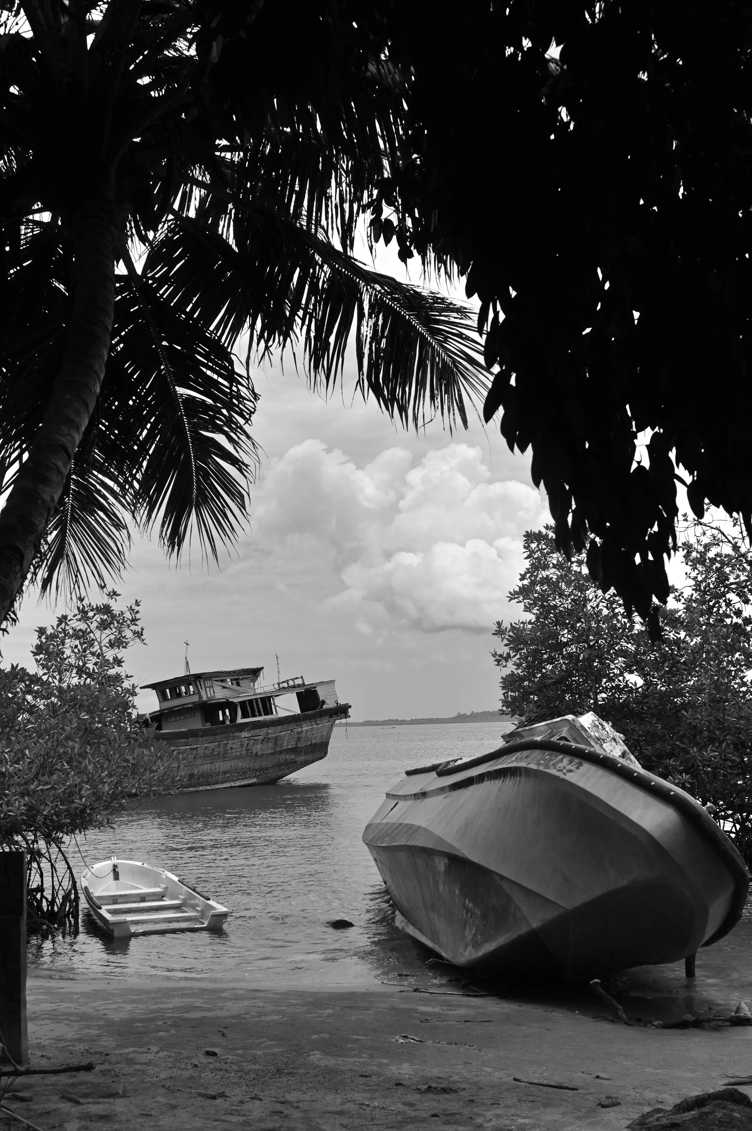 DSC_4508.JPG