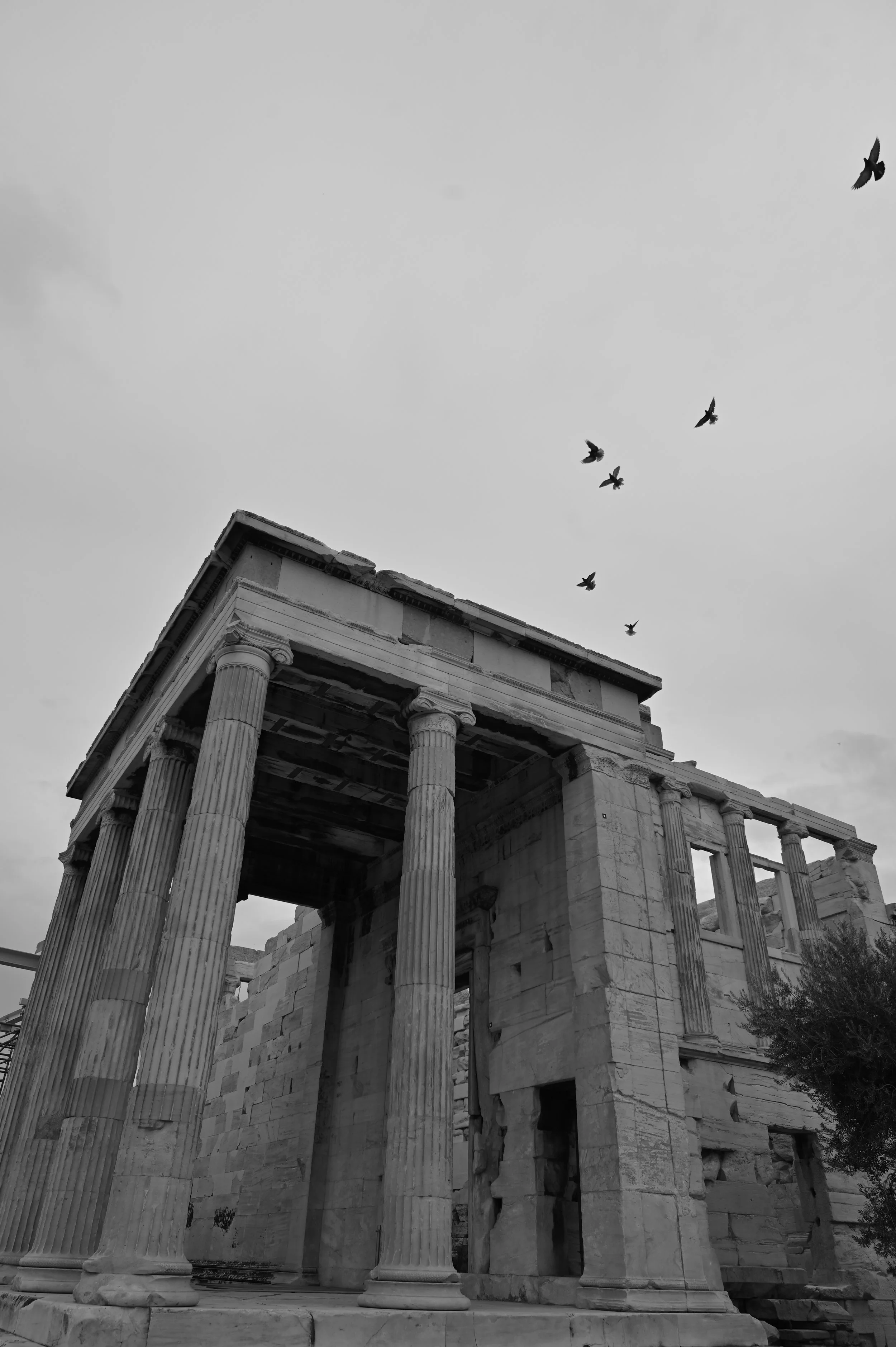 DSC_6626.JPG