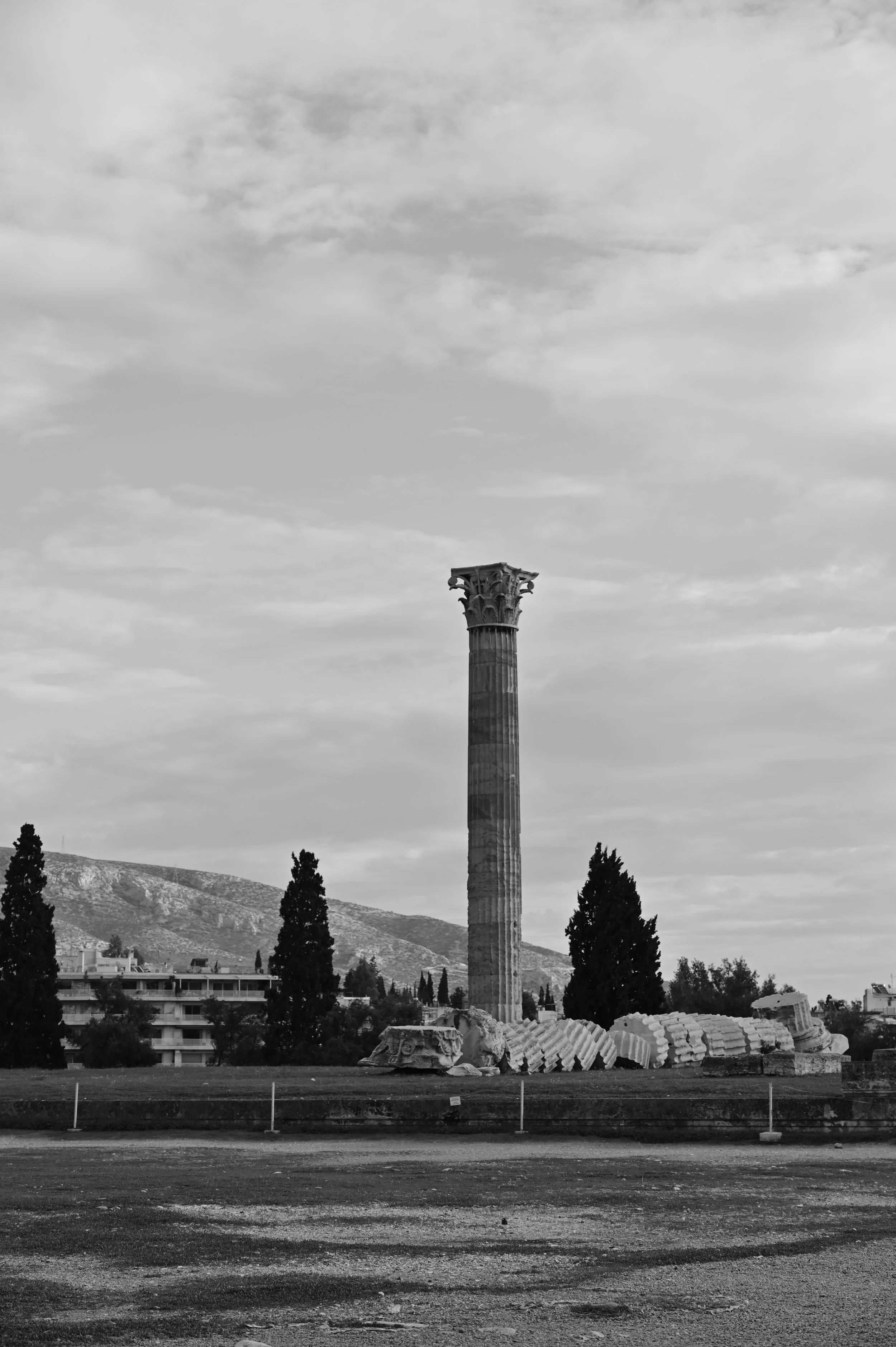 DSC_6754.JPG