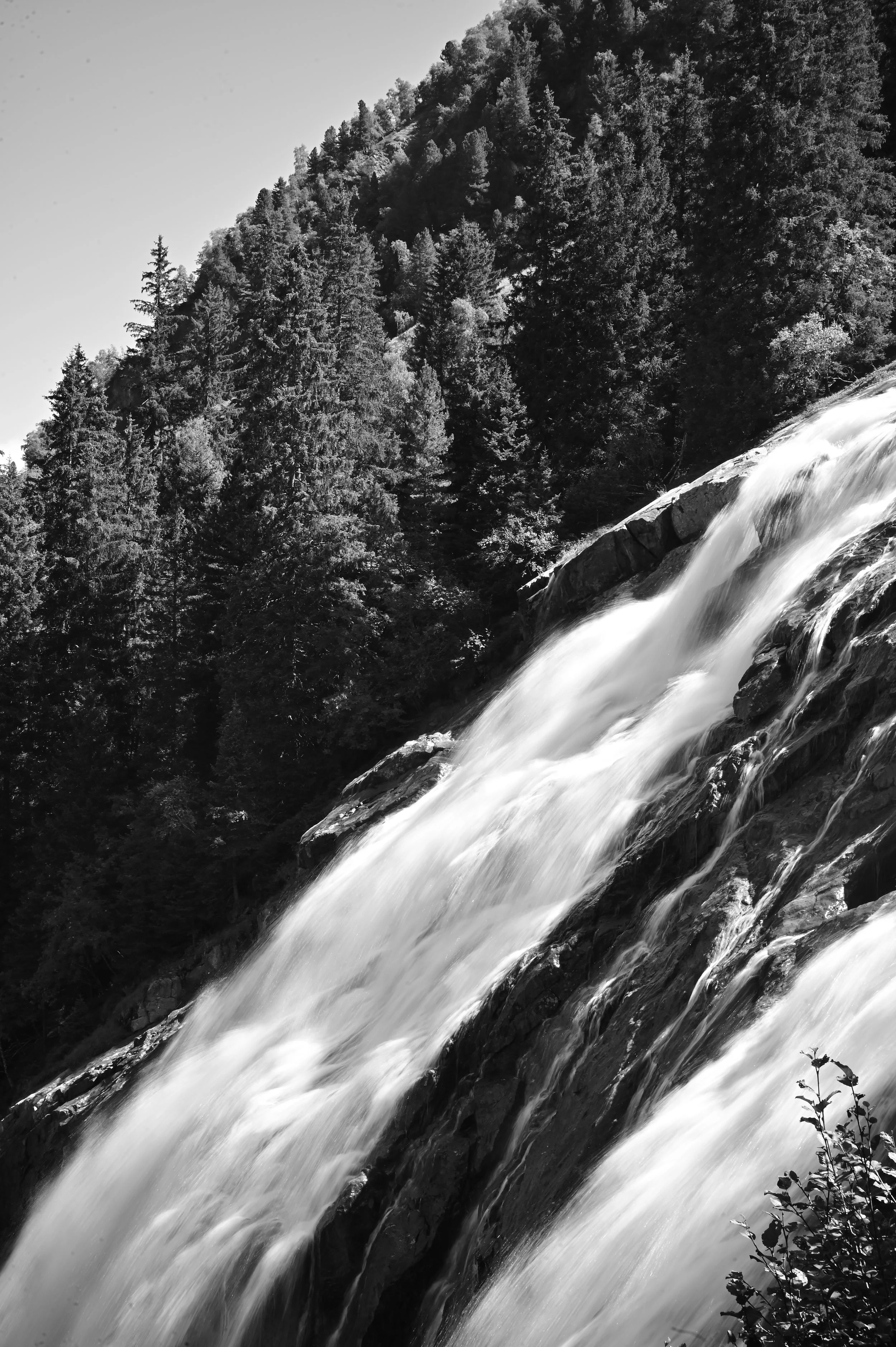 DSC_9487.JPG