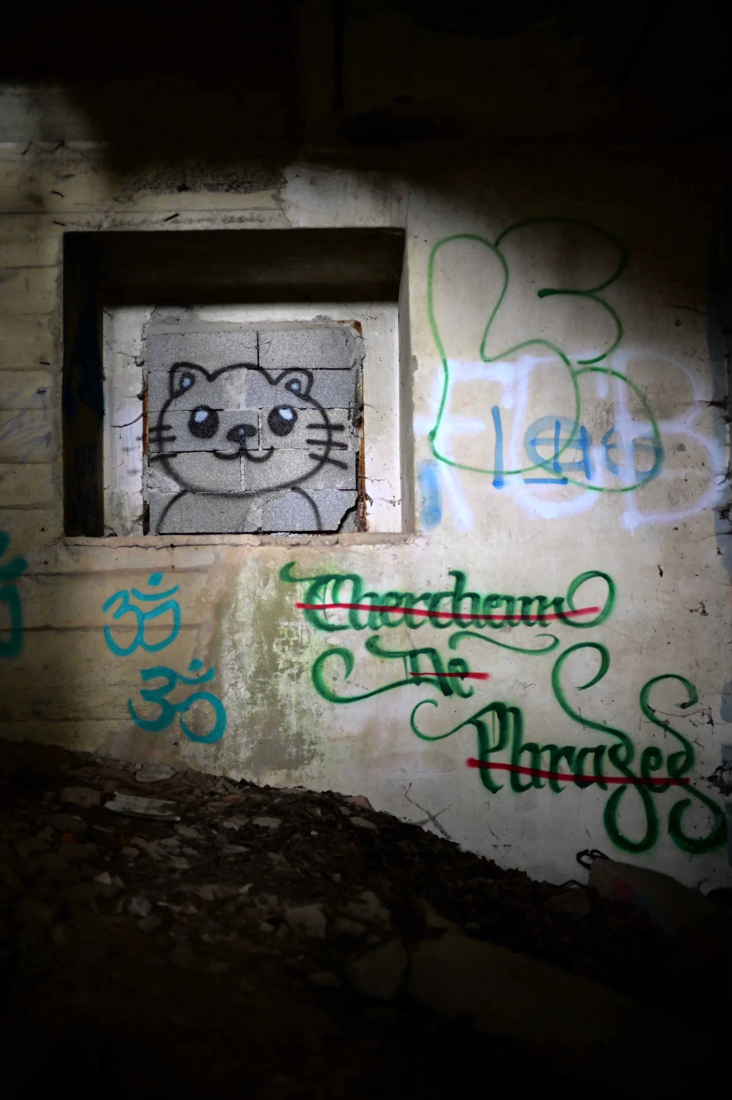DSC_8762.JPG