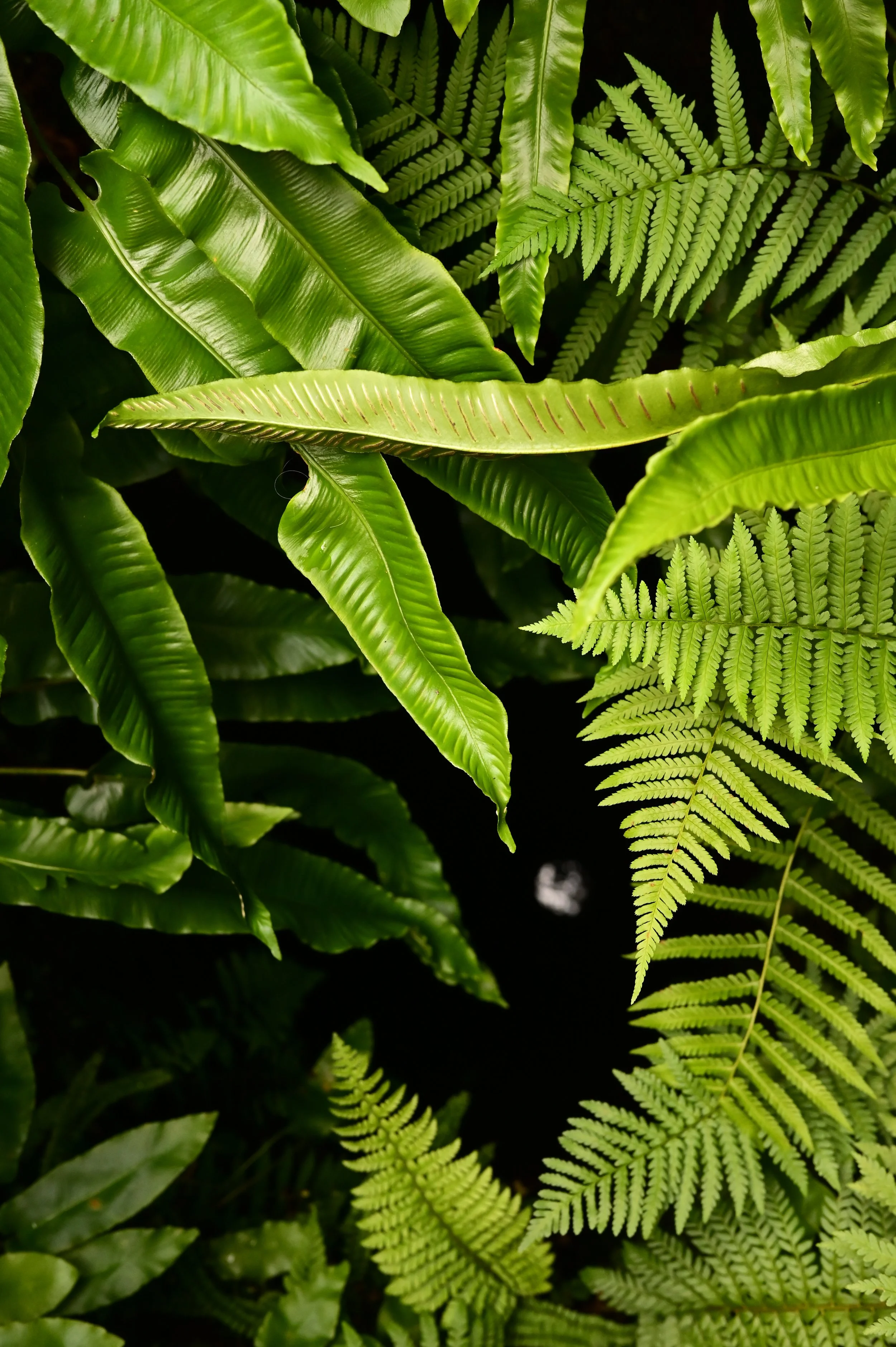 DSC_3767.JPG