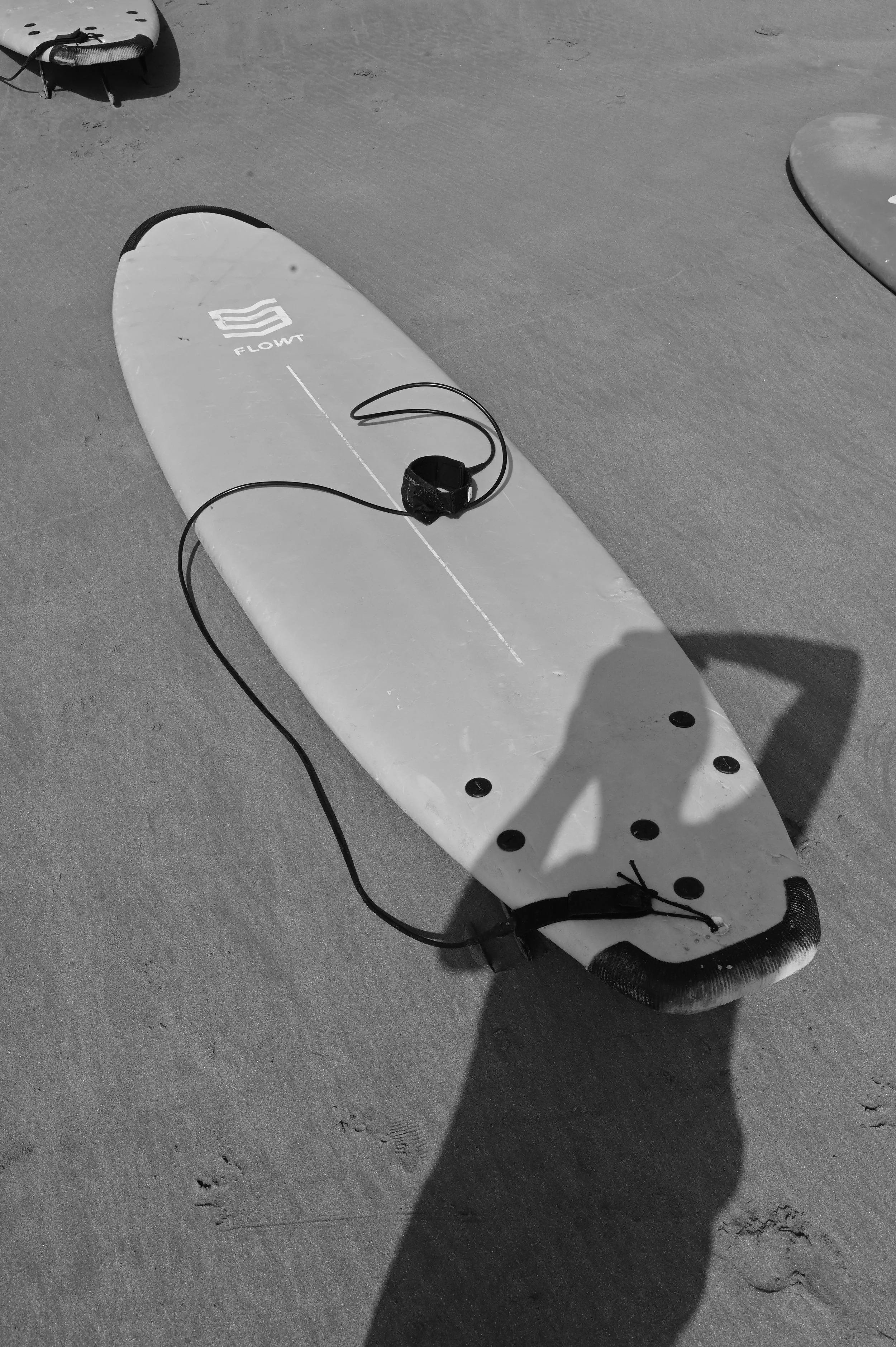 DSC_0412.JPG