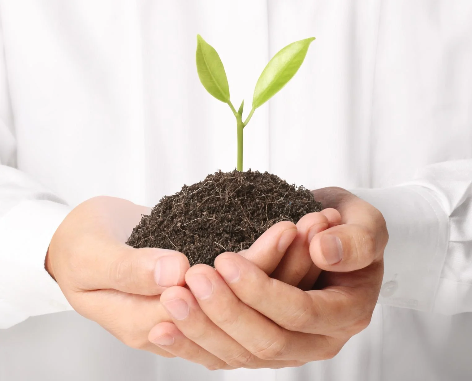 Manos sosteniendo tierra con una planta joven creciendo en ella.