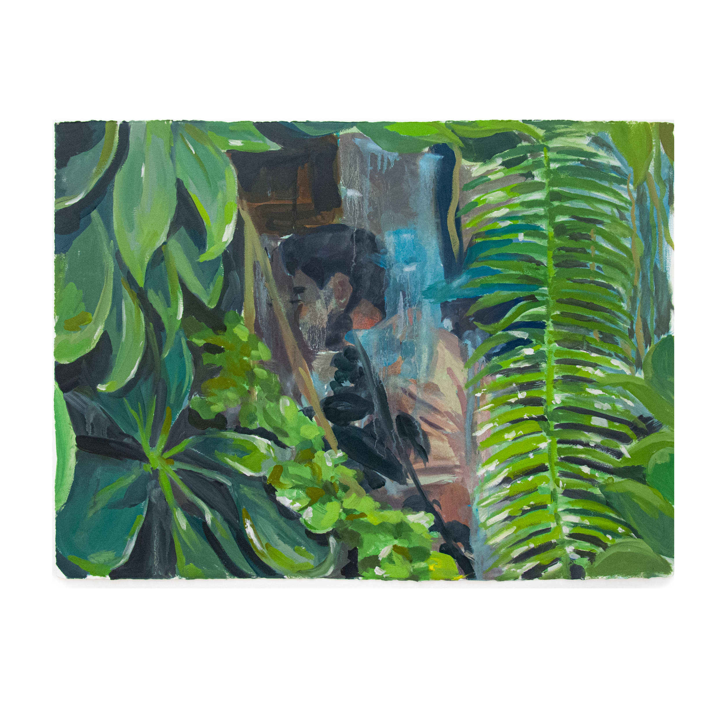 Leaves