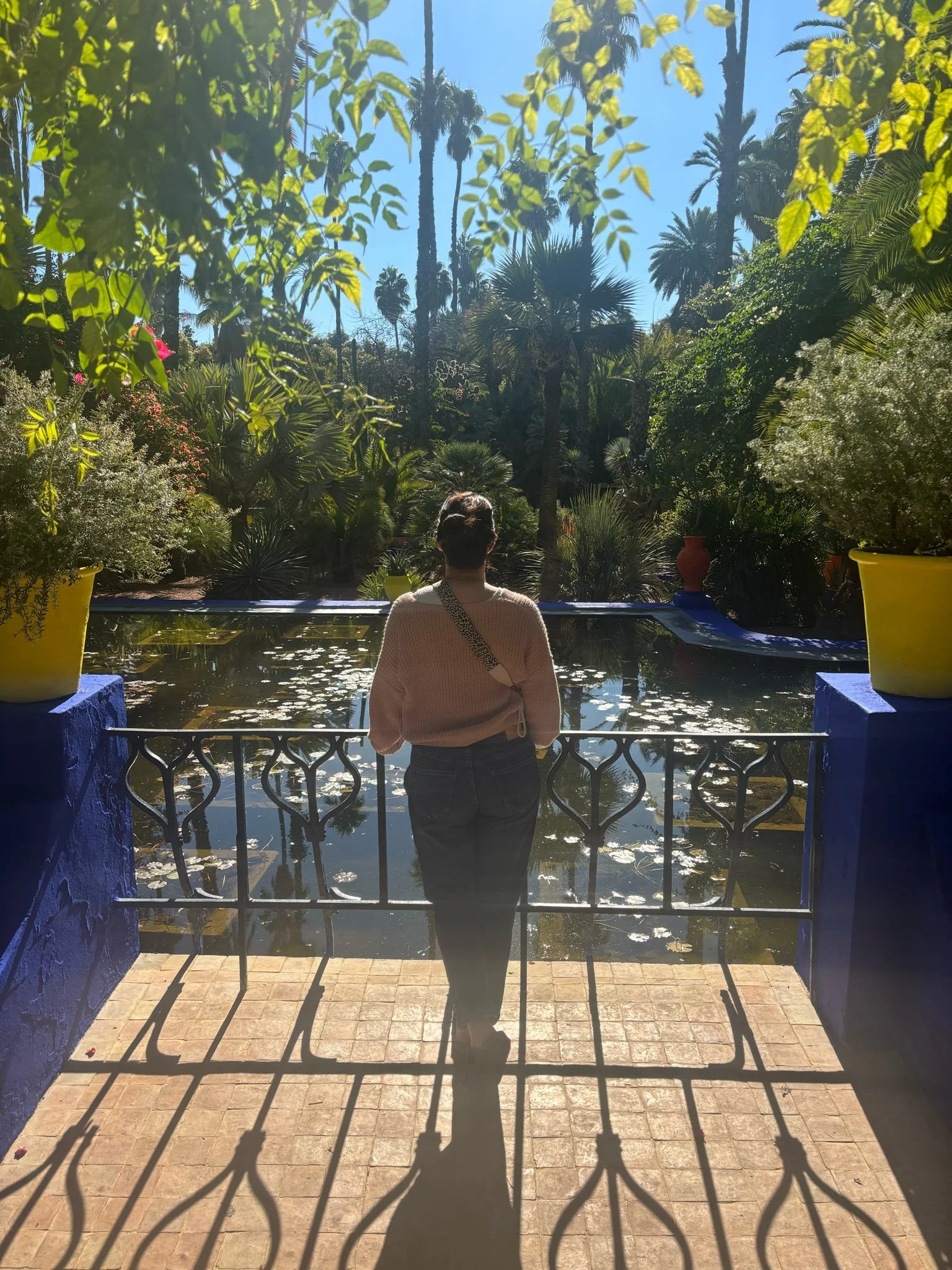 A woman standing by a pool with a black railing, reflecting the sunlight, surrounded by lush green plants and tall palm trees under a clear blue sky.