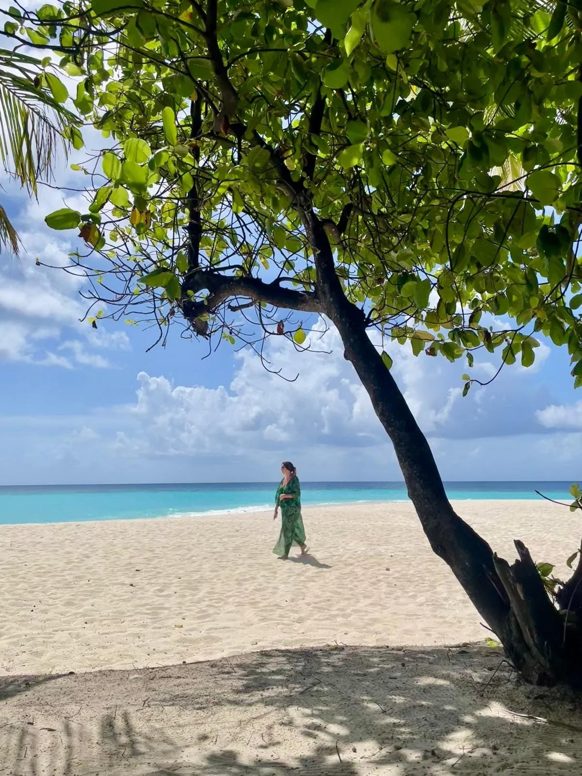 A woman in a green dress walking along a sandy beach with a tree and green leaves in the foreground and the ocean and cloudy sky in the background.