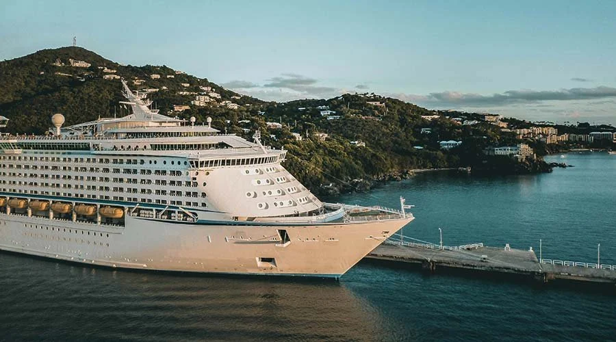Large white cruise ship docked at a pier near a hilly coastal area with houses and trees.
