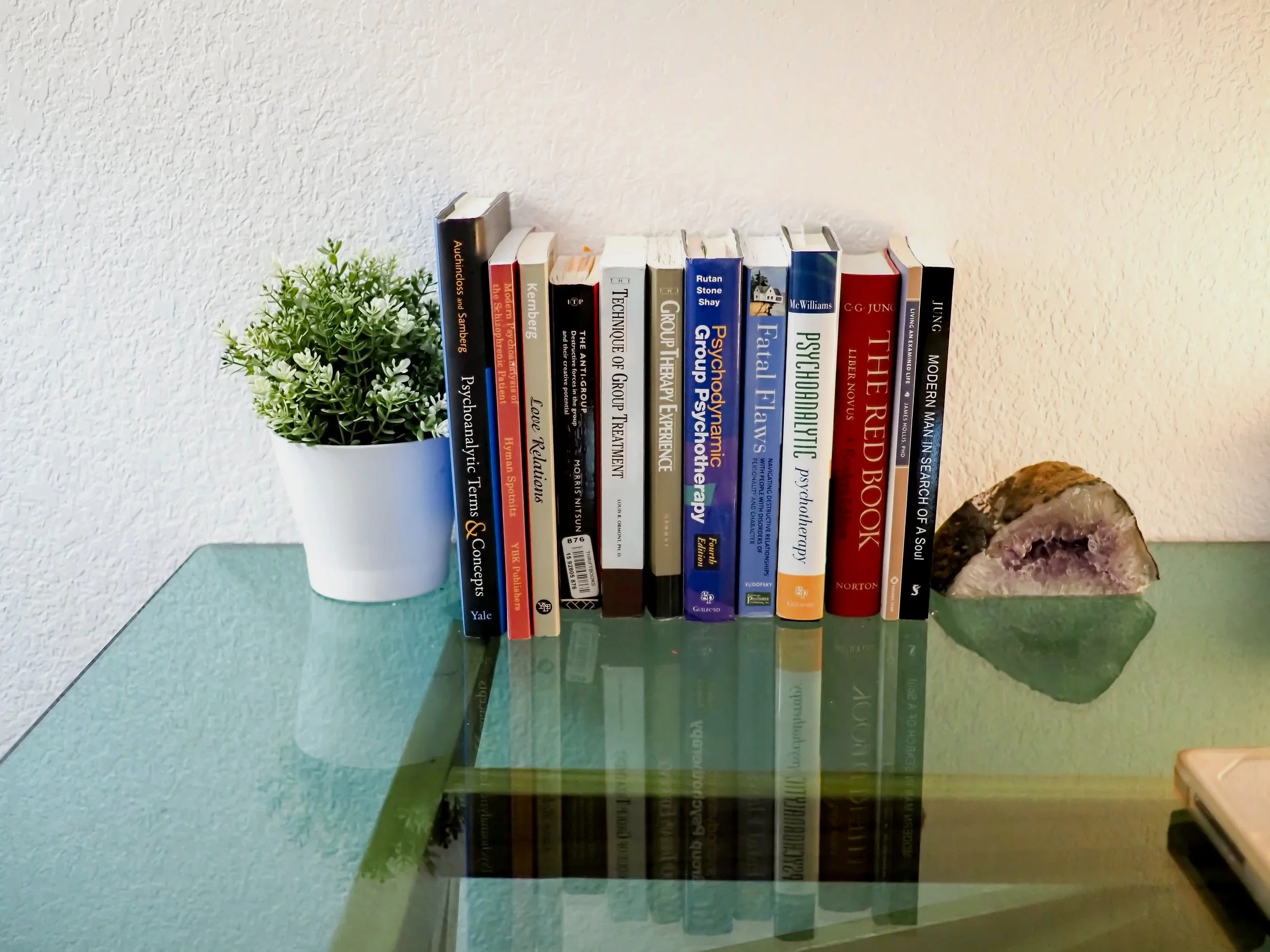 Psychology books arranged on a glass shelf beside a potted plant and amethyst crystal geode