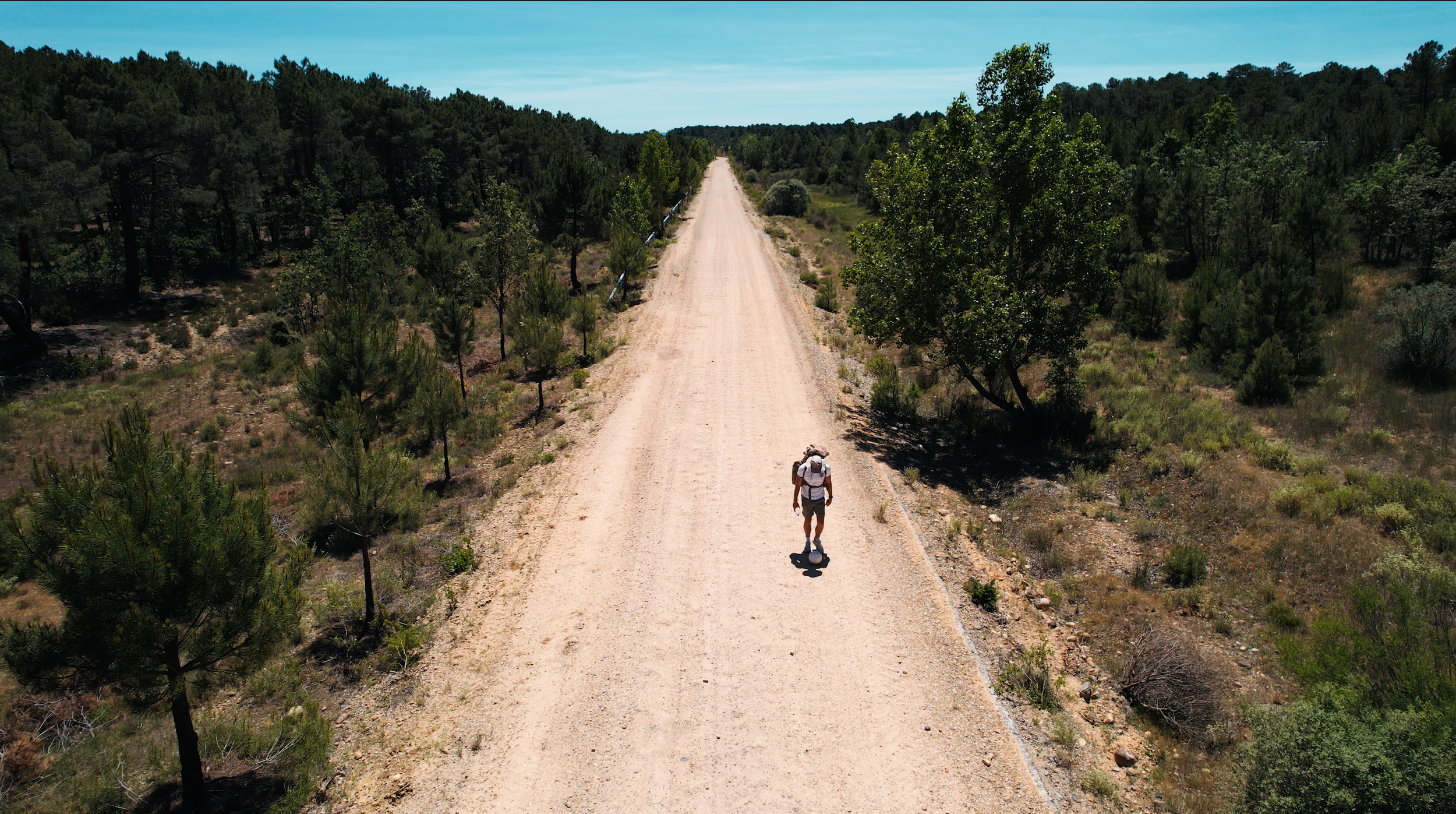 A hiker walking along a straight dirt road in a forested area under a clear blue sky.