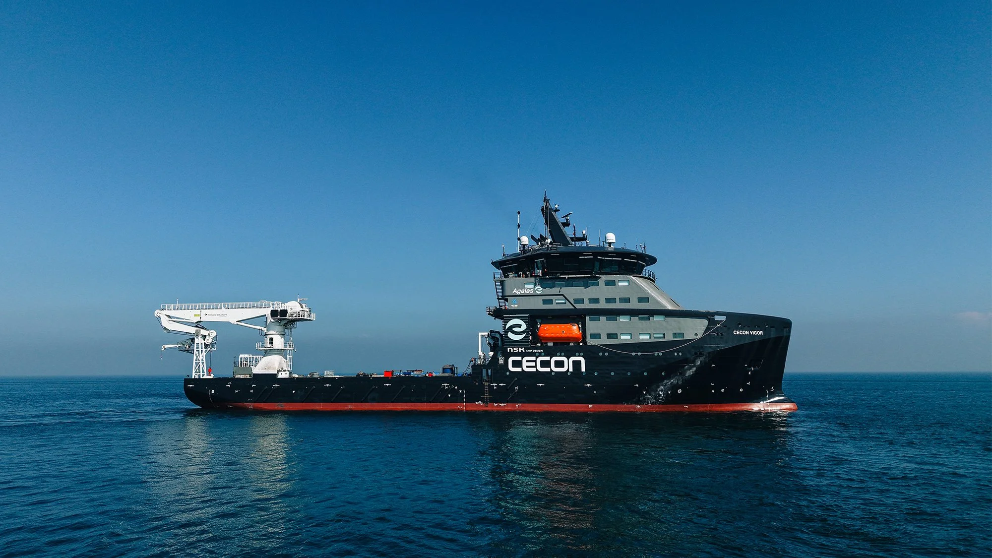Cecon Vigor