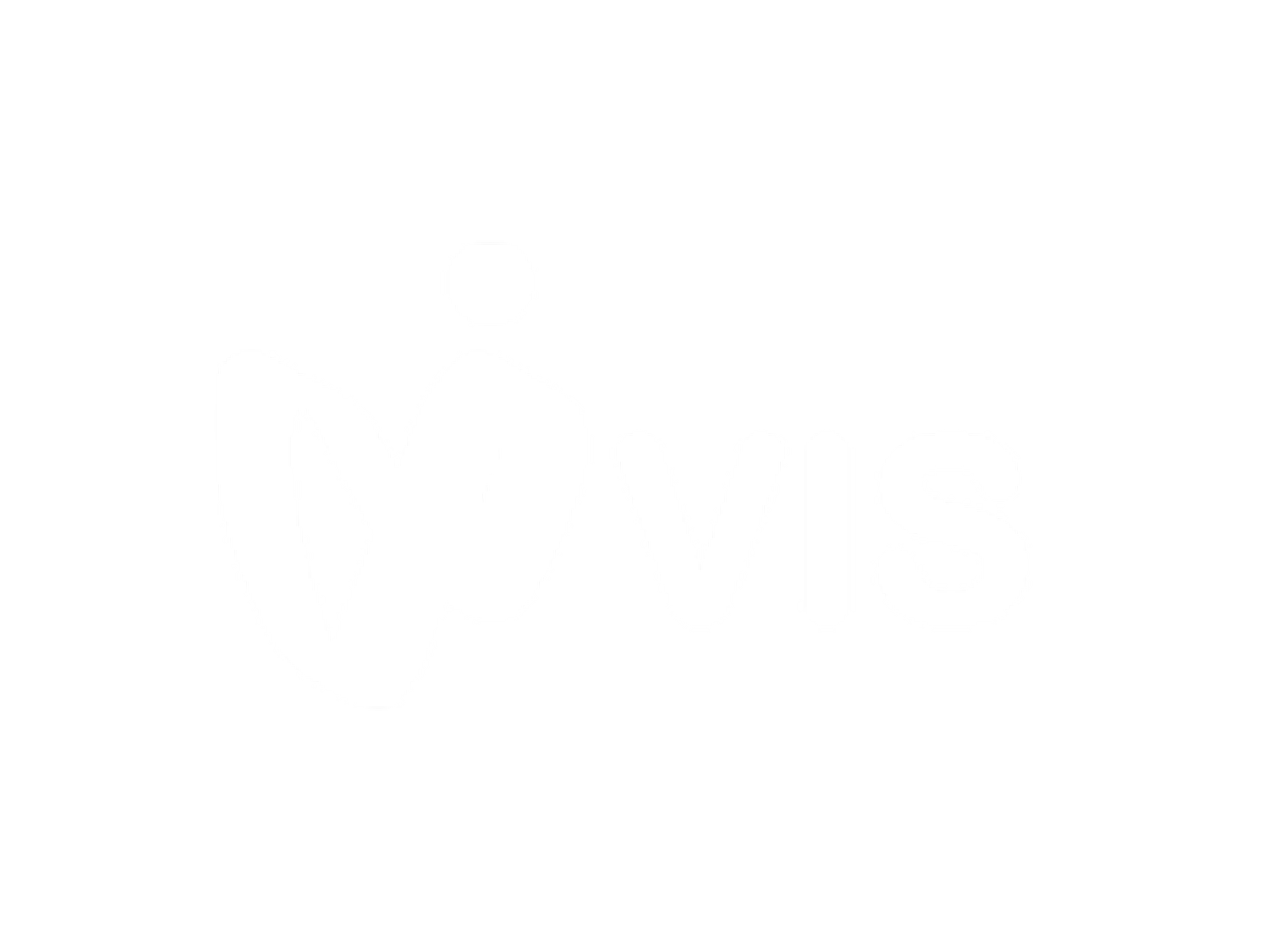 VIS Consulting