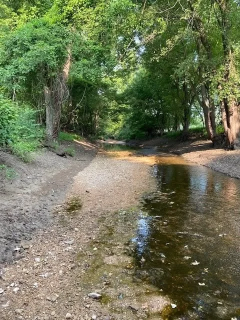 KWCreek2.jpg