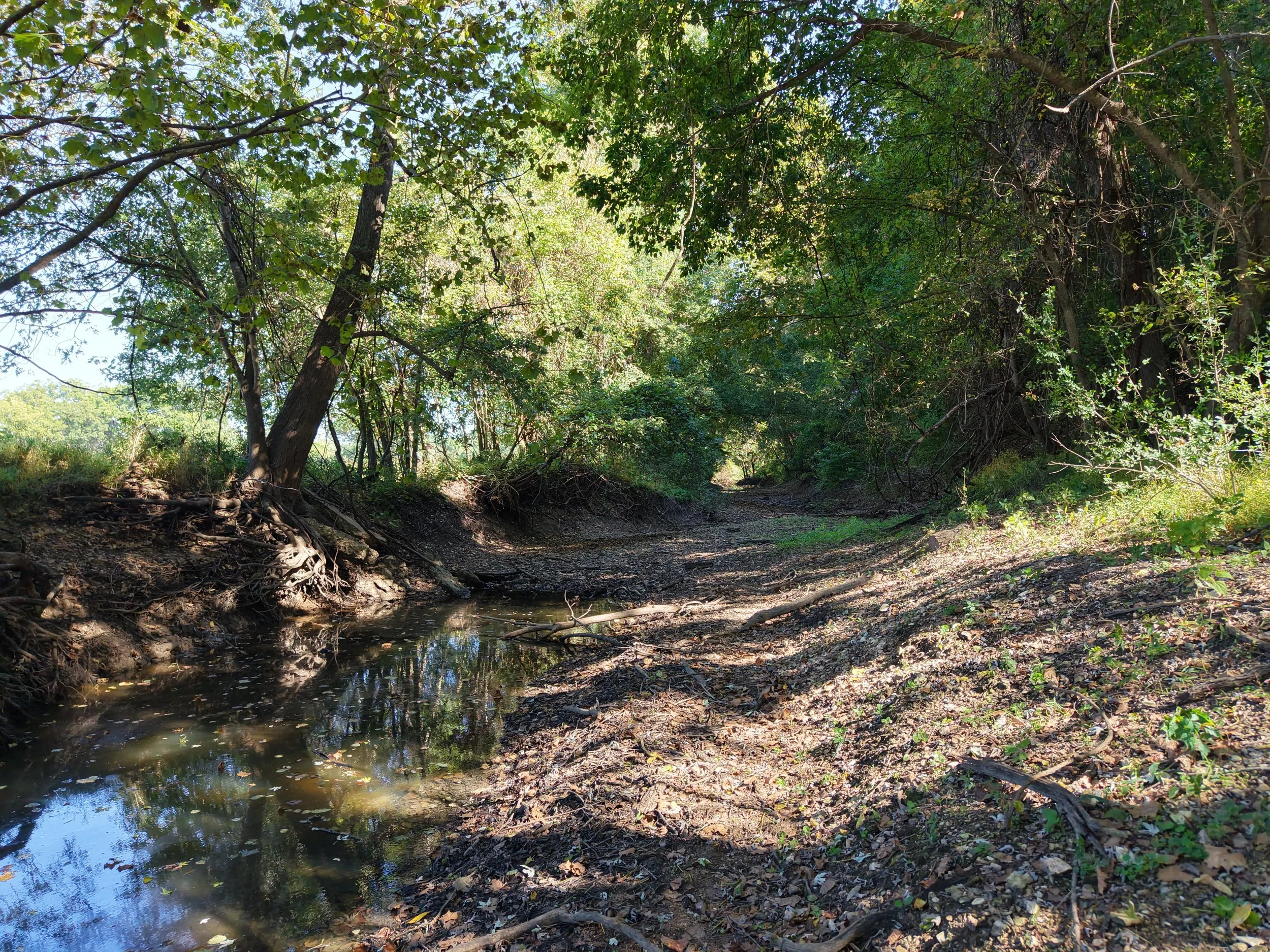 11 Creek.JPG