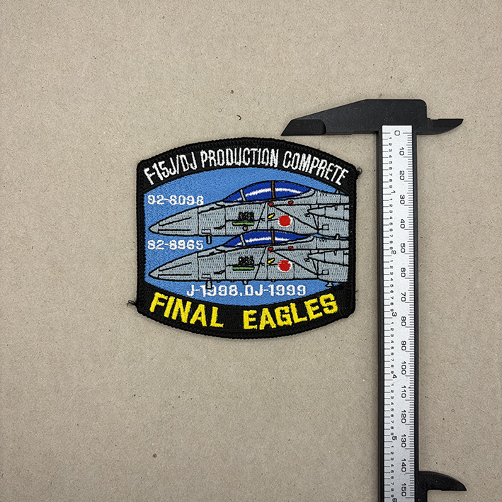 F-15J/DJ Final Eagles