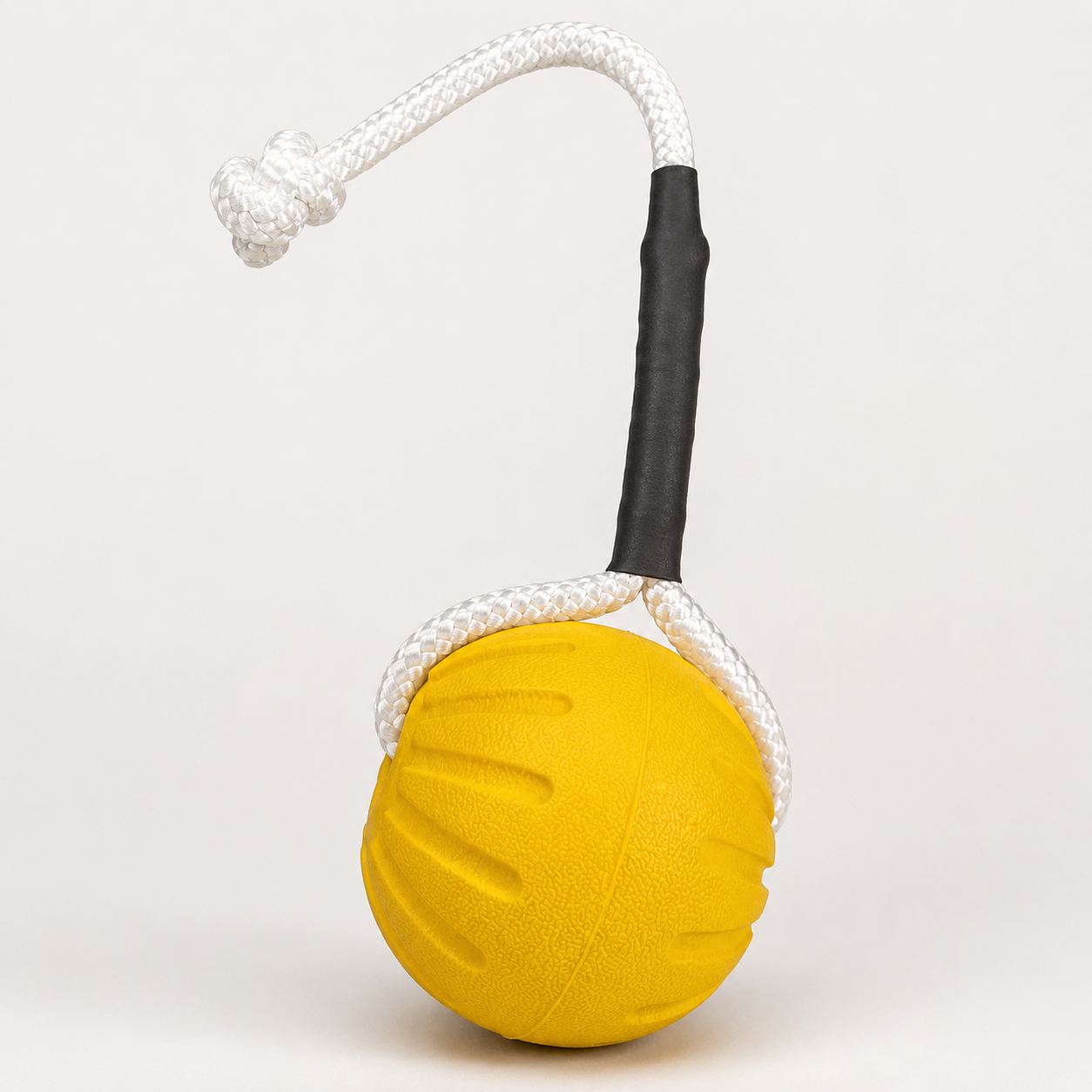 ball on string AI edited picture.png