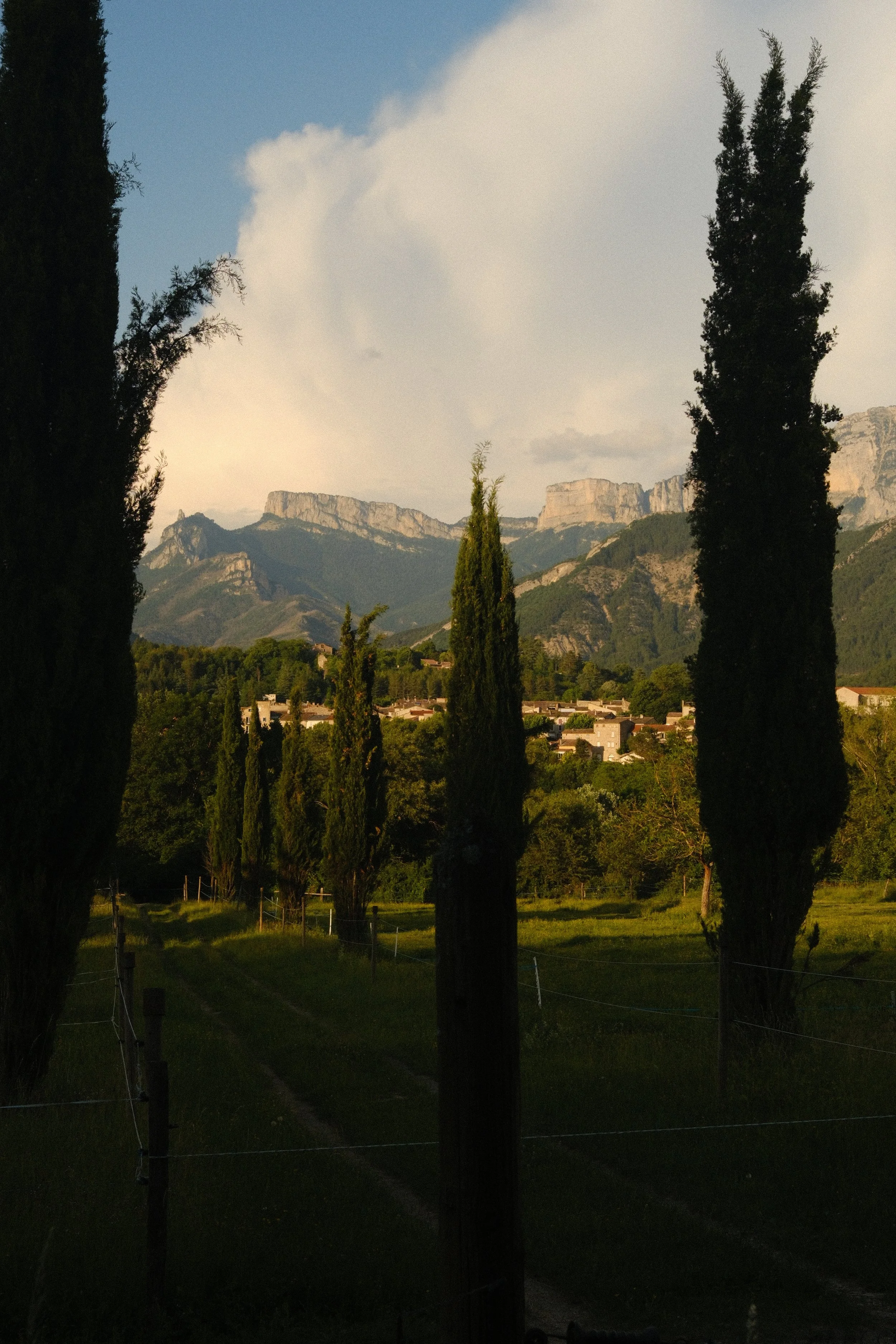 DSCF5888.JPG
