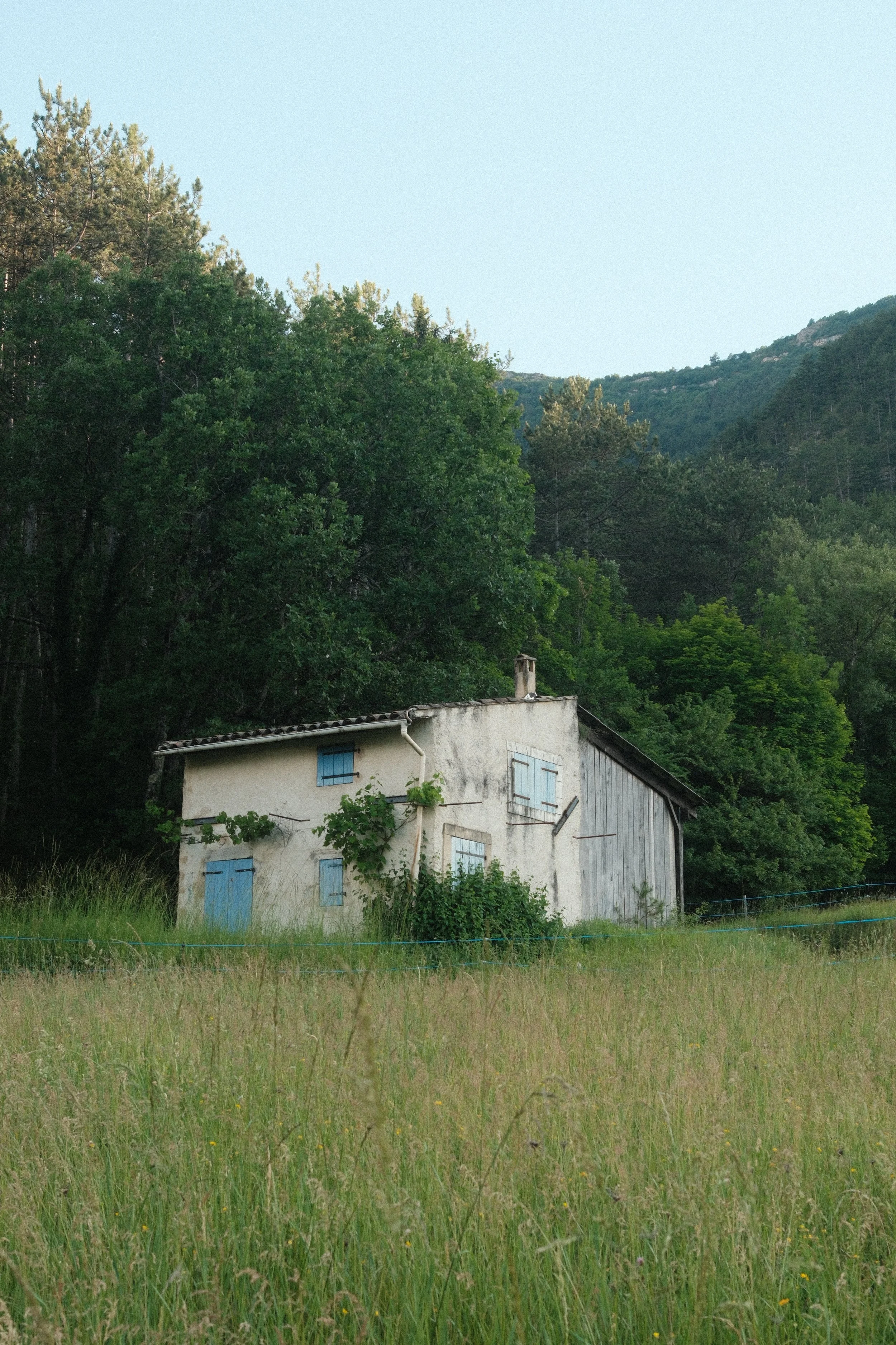 DSCF5880.JPG
