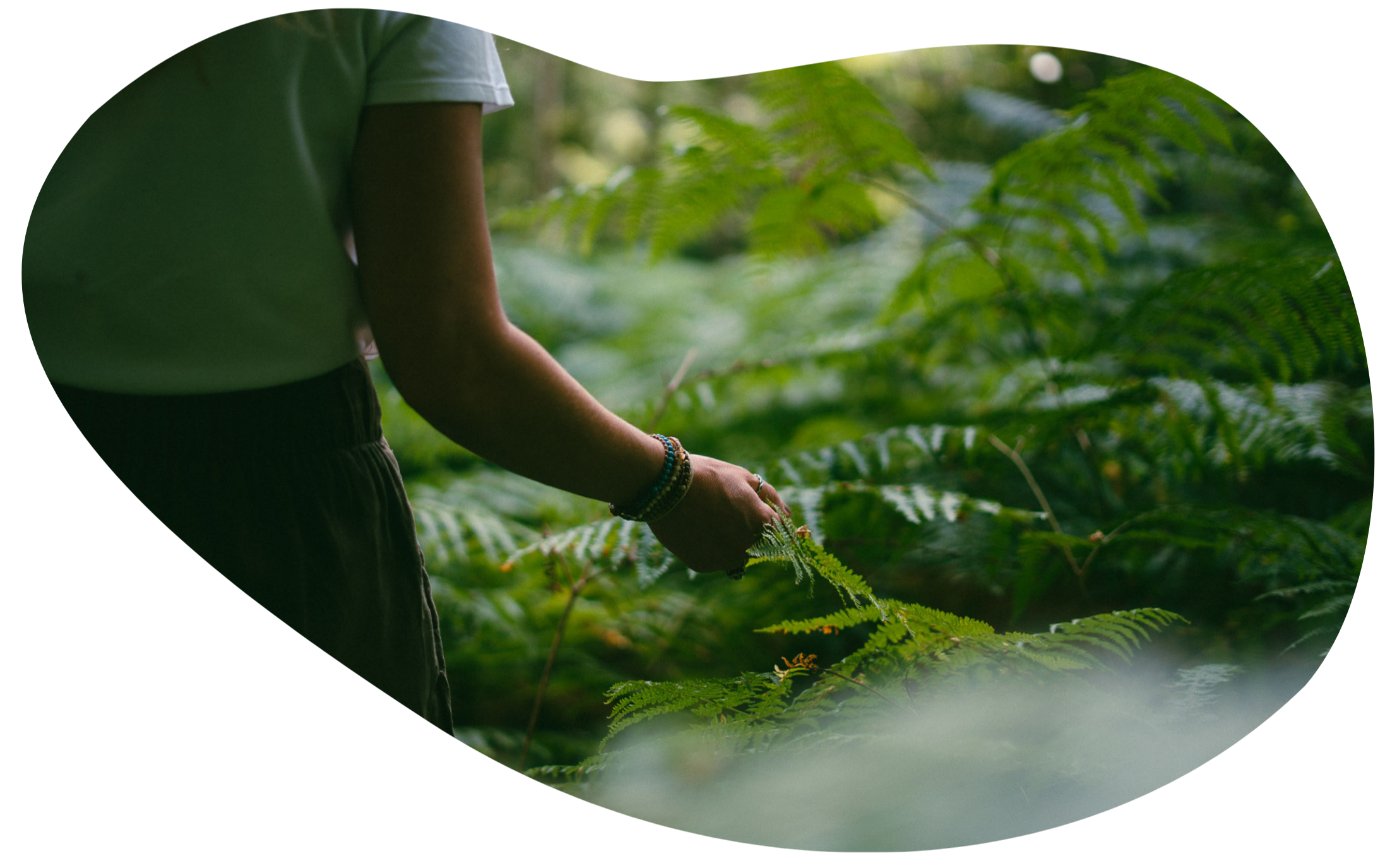 Person's arm and hand reaching out in a lush, green outdoor environment with fern leaves and sunlight filtering through trees.