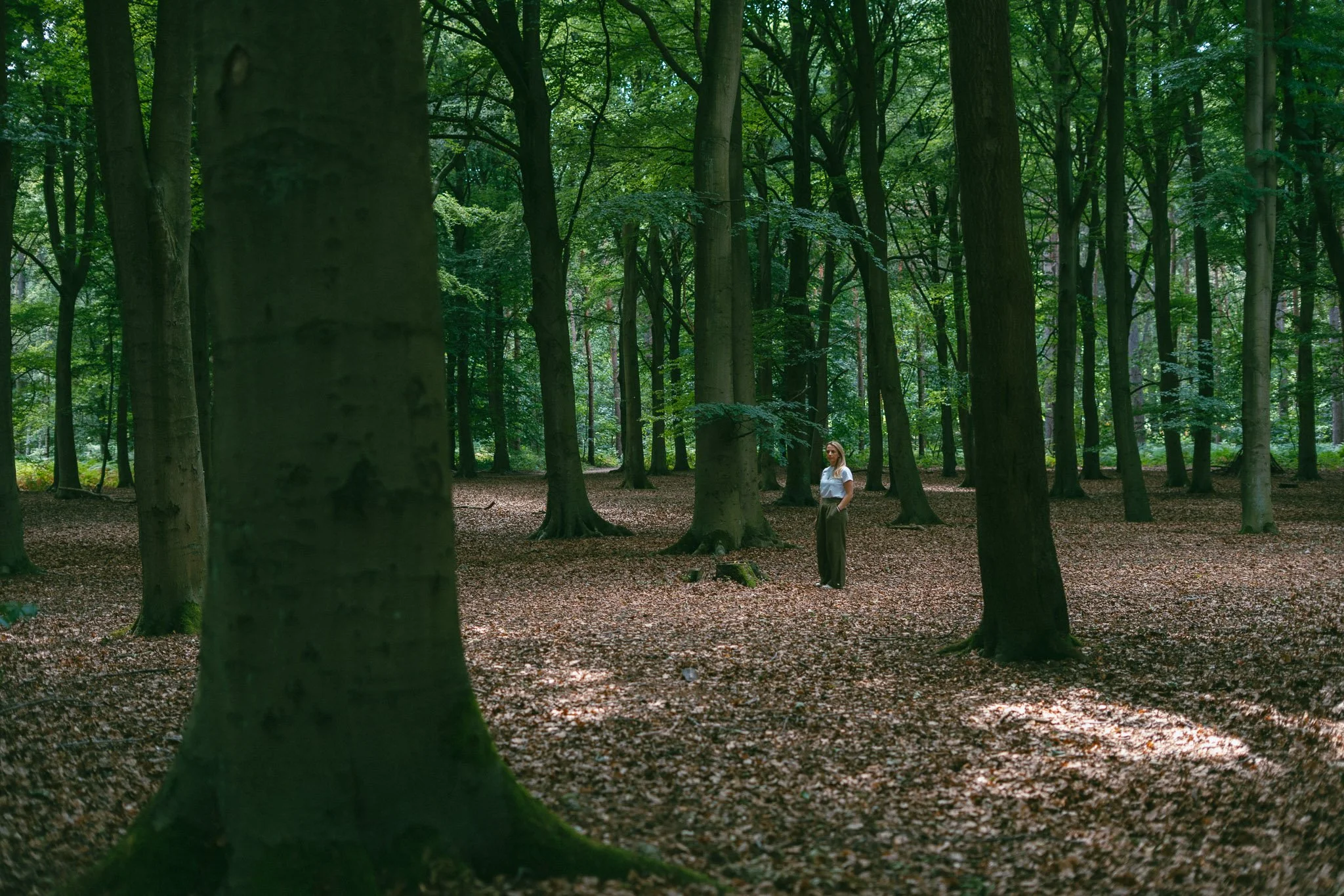 A woman standing in a dense green forest with tall trees and a leaf-covered ground.