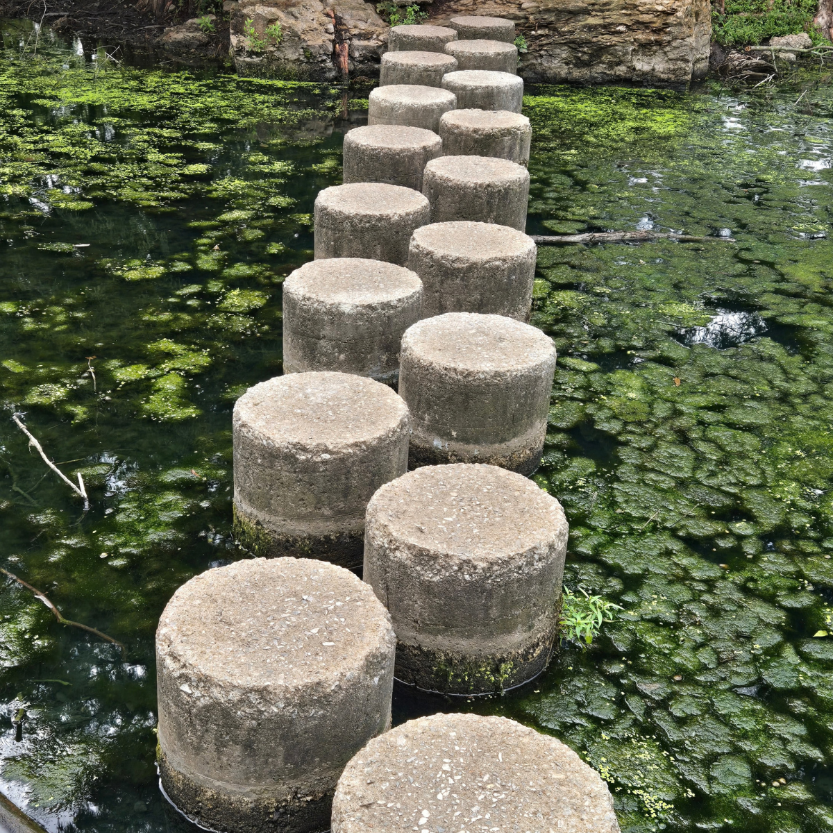 The Stepping Stones