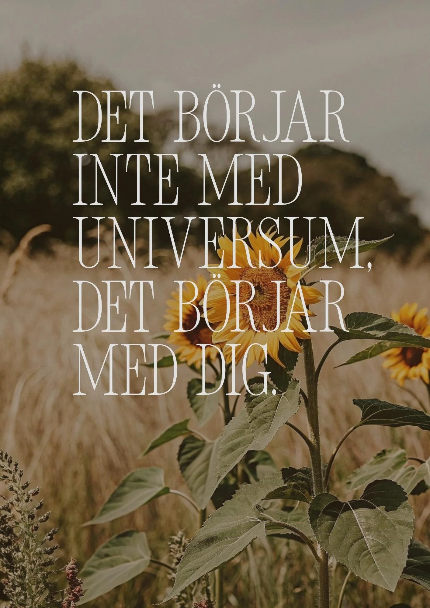 Det börjar inte med universum, det börjar med dig..jpg