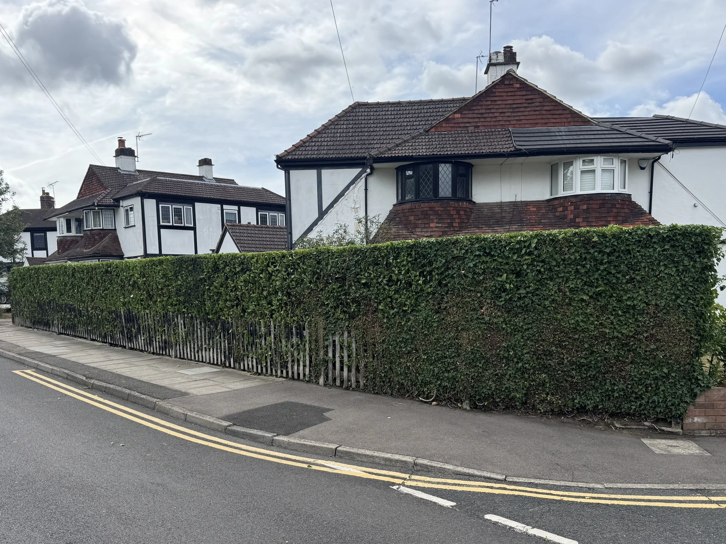 Large garden boundary hedge neatly trimmed with a level top and straight sides