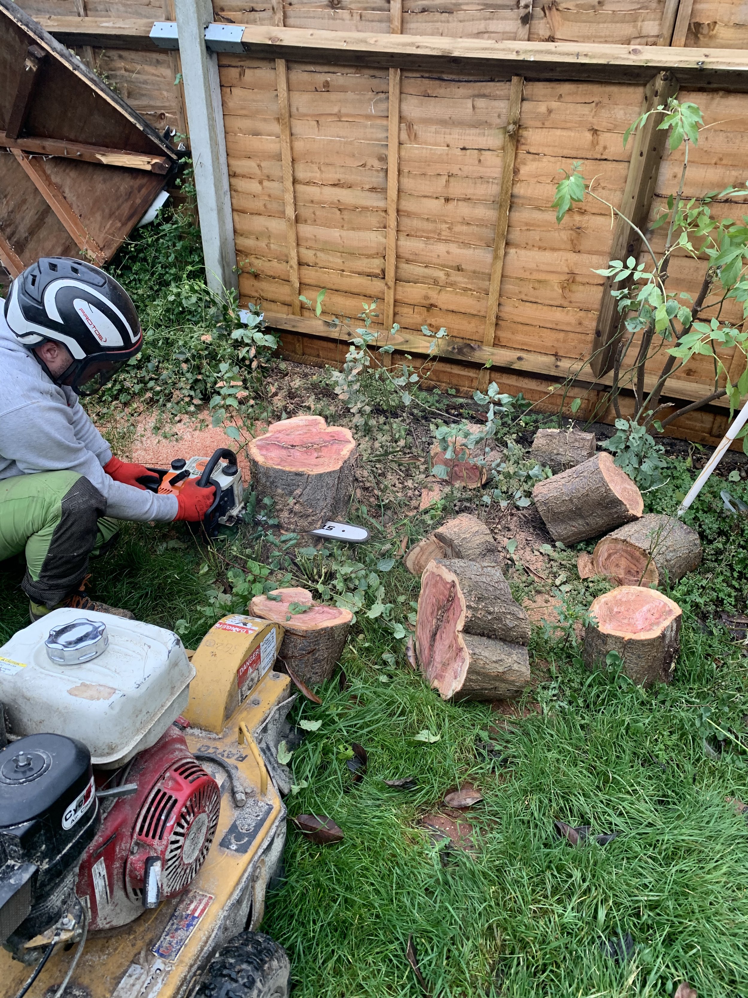 Stump-grinding equipment beside freshly cut tree sections