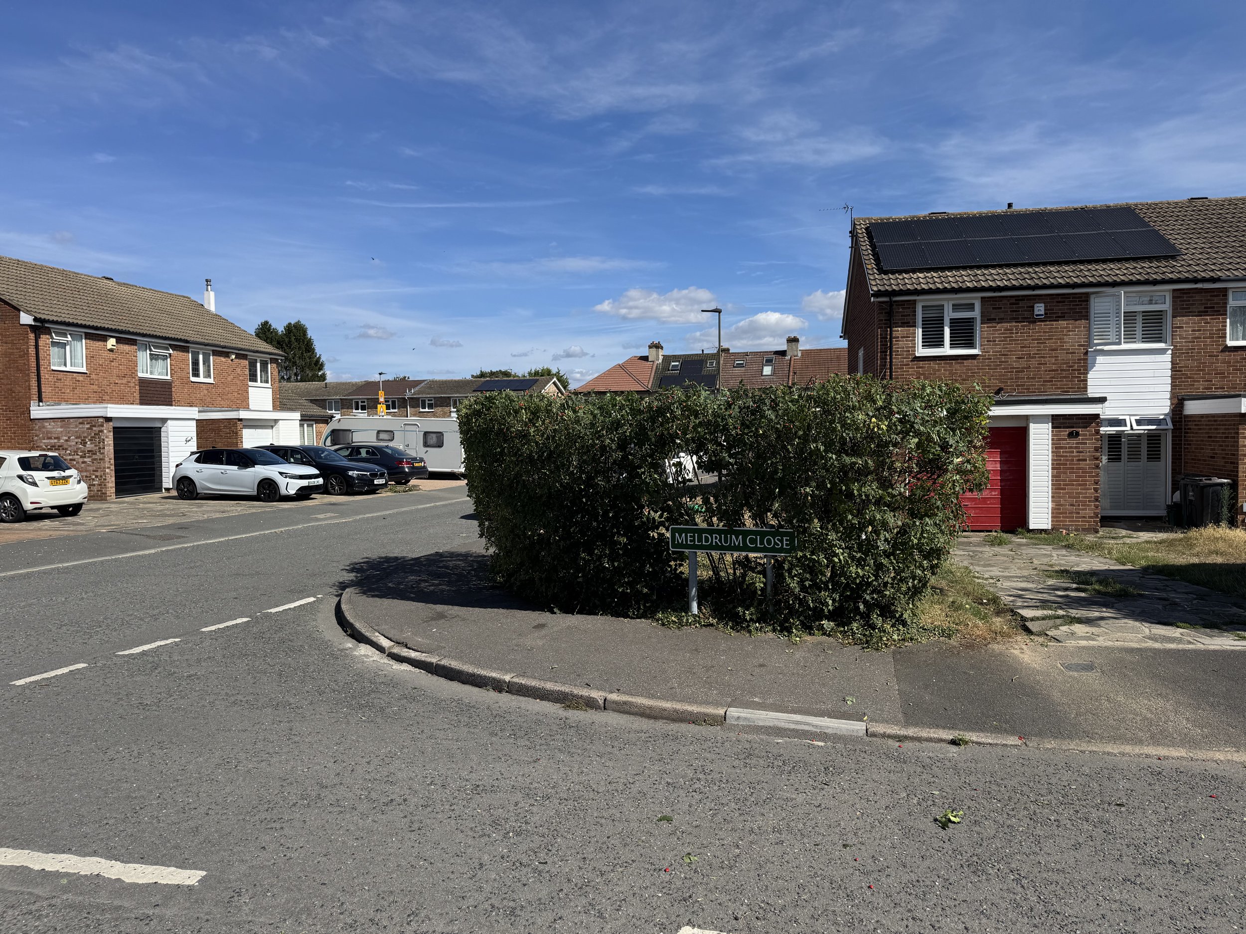 Front garden after overgrown tree/hedge was reduced and reshaped