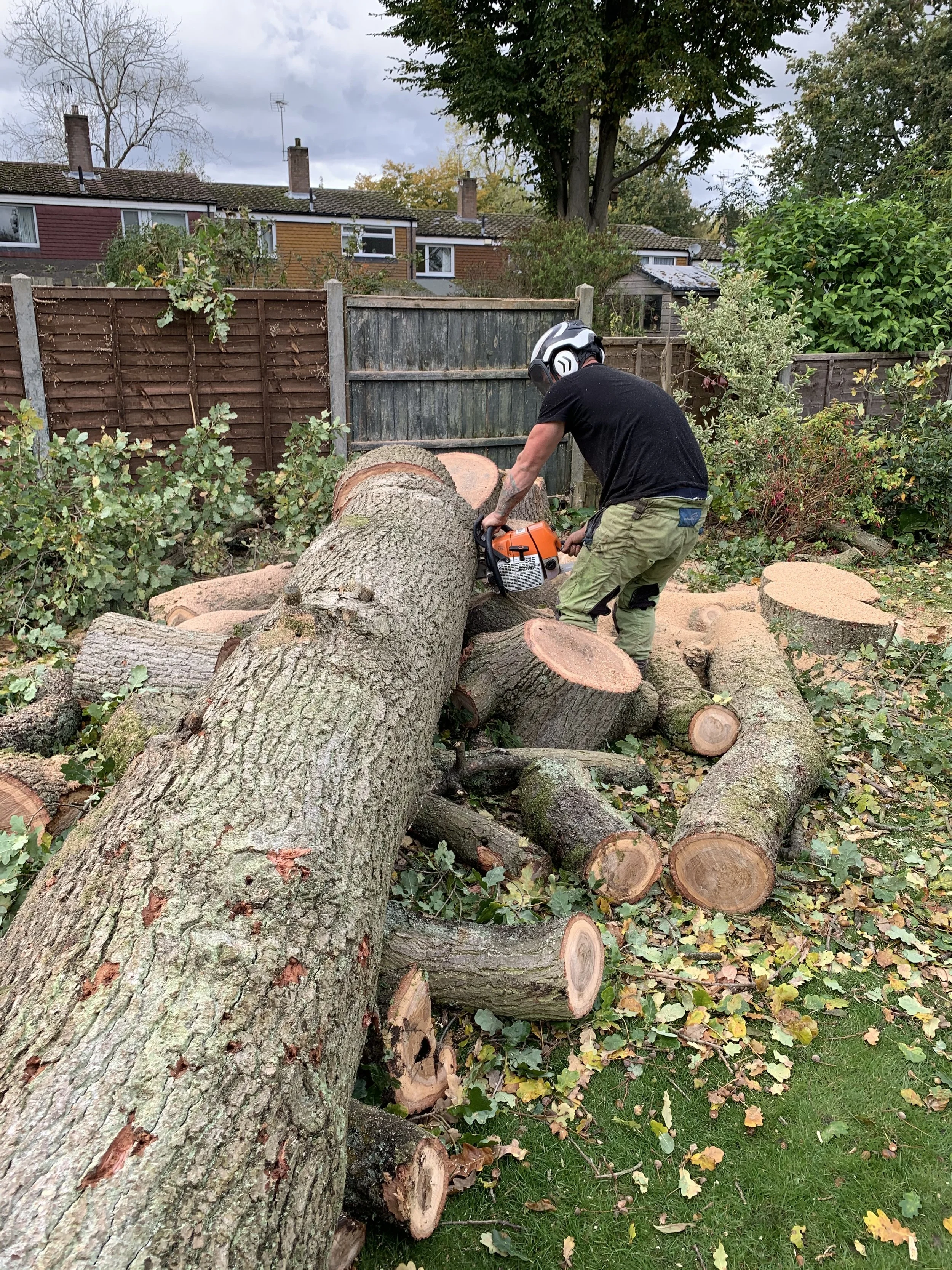 Tree surgeon cutting a tree trunk with a chainsaw after tree dismantling work in a back garden surrounded by chopped logs,