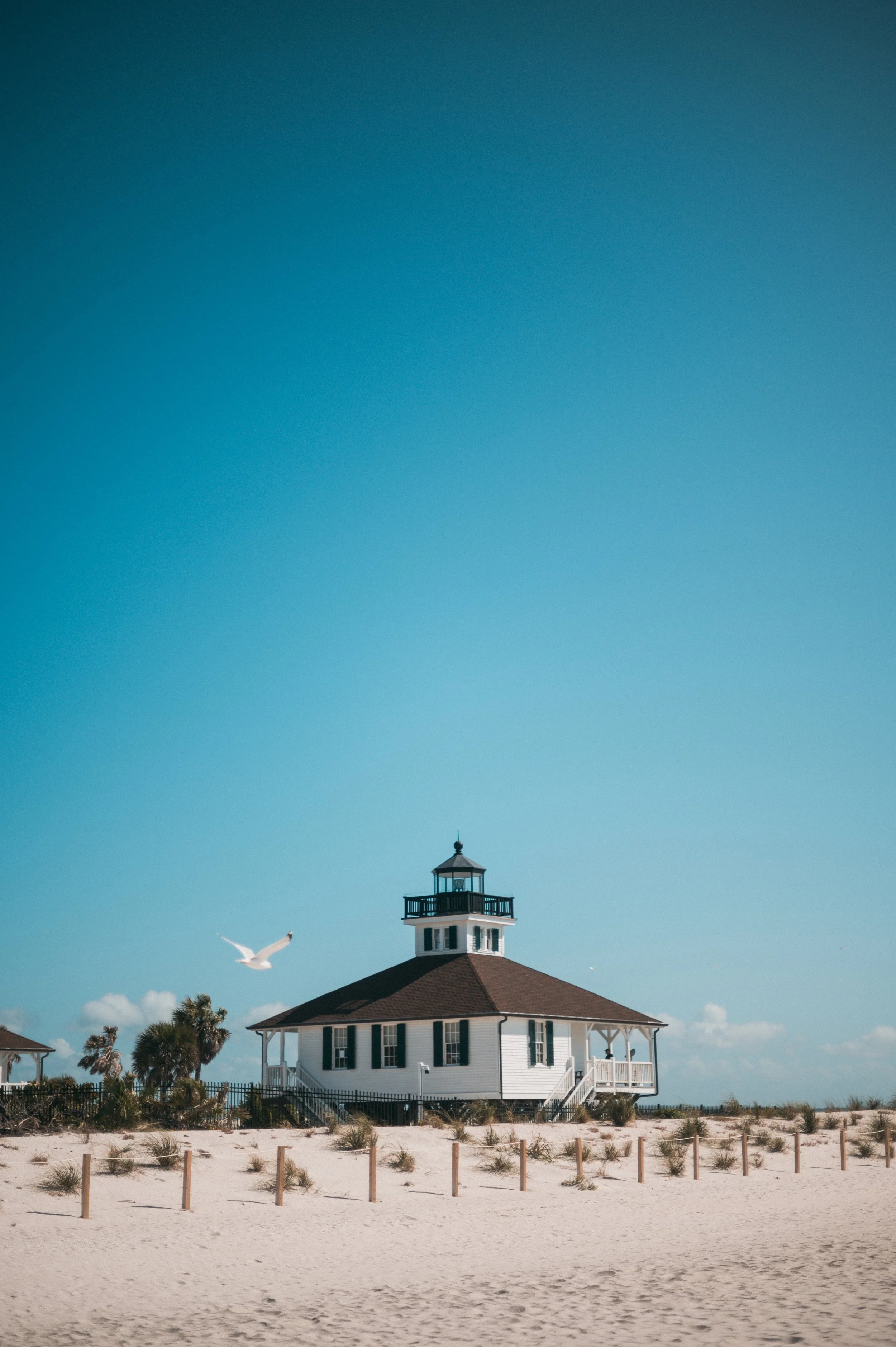 DSC_0928.jpeg