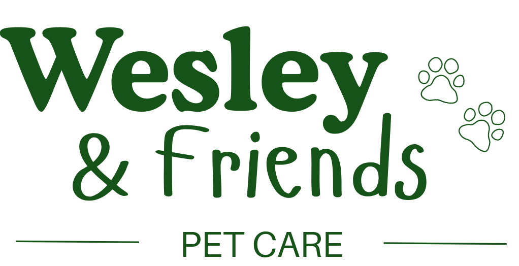 Wesley &amp; Friends