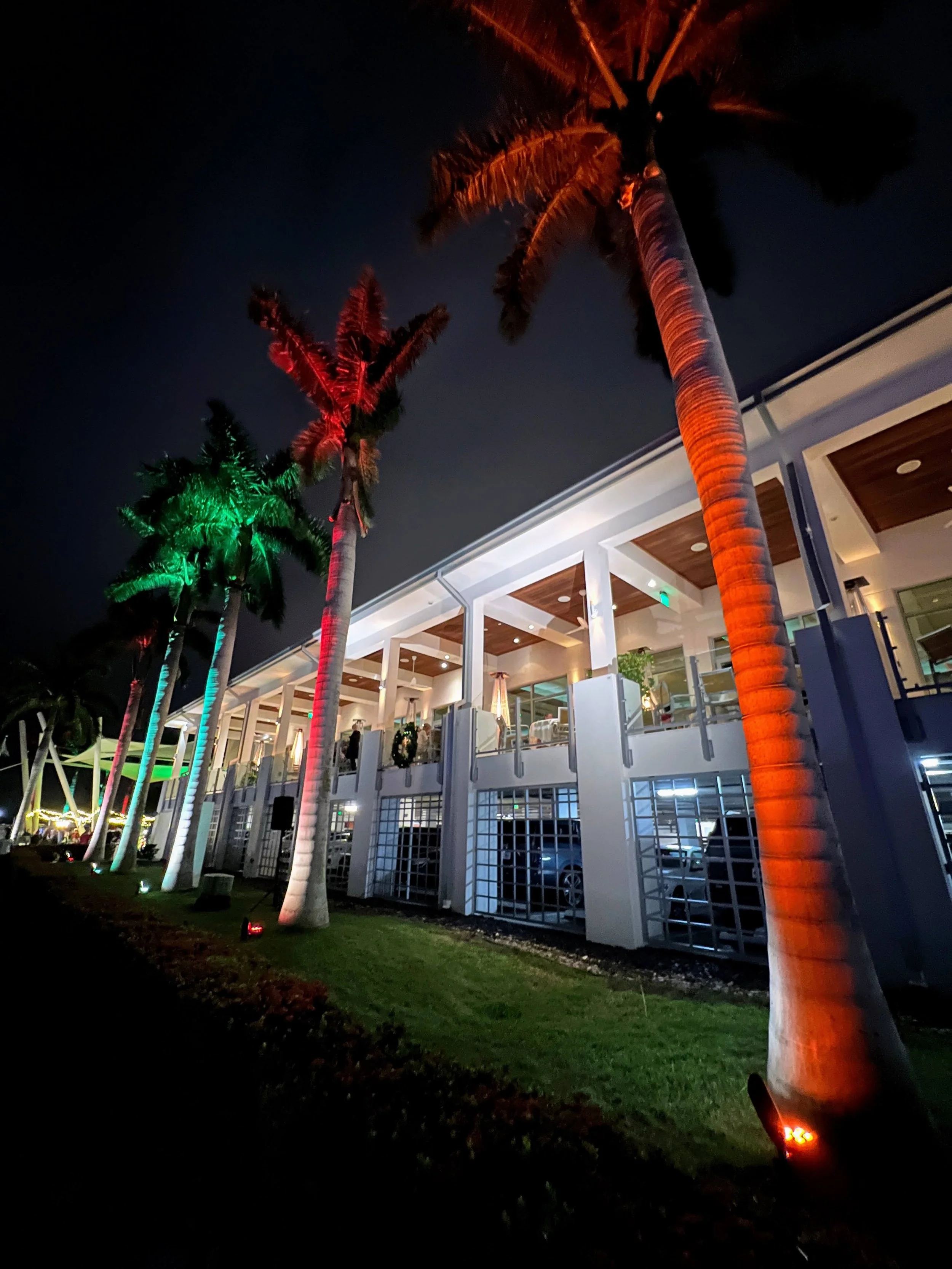 Palm trees lit with red, green, and orange uplighting at night in Sarasota