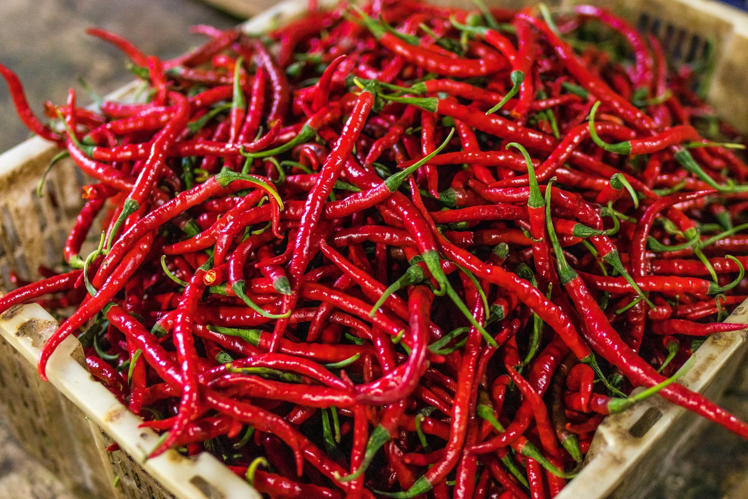 Large Pile of Red Ripe Cayenne Peppers