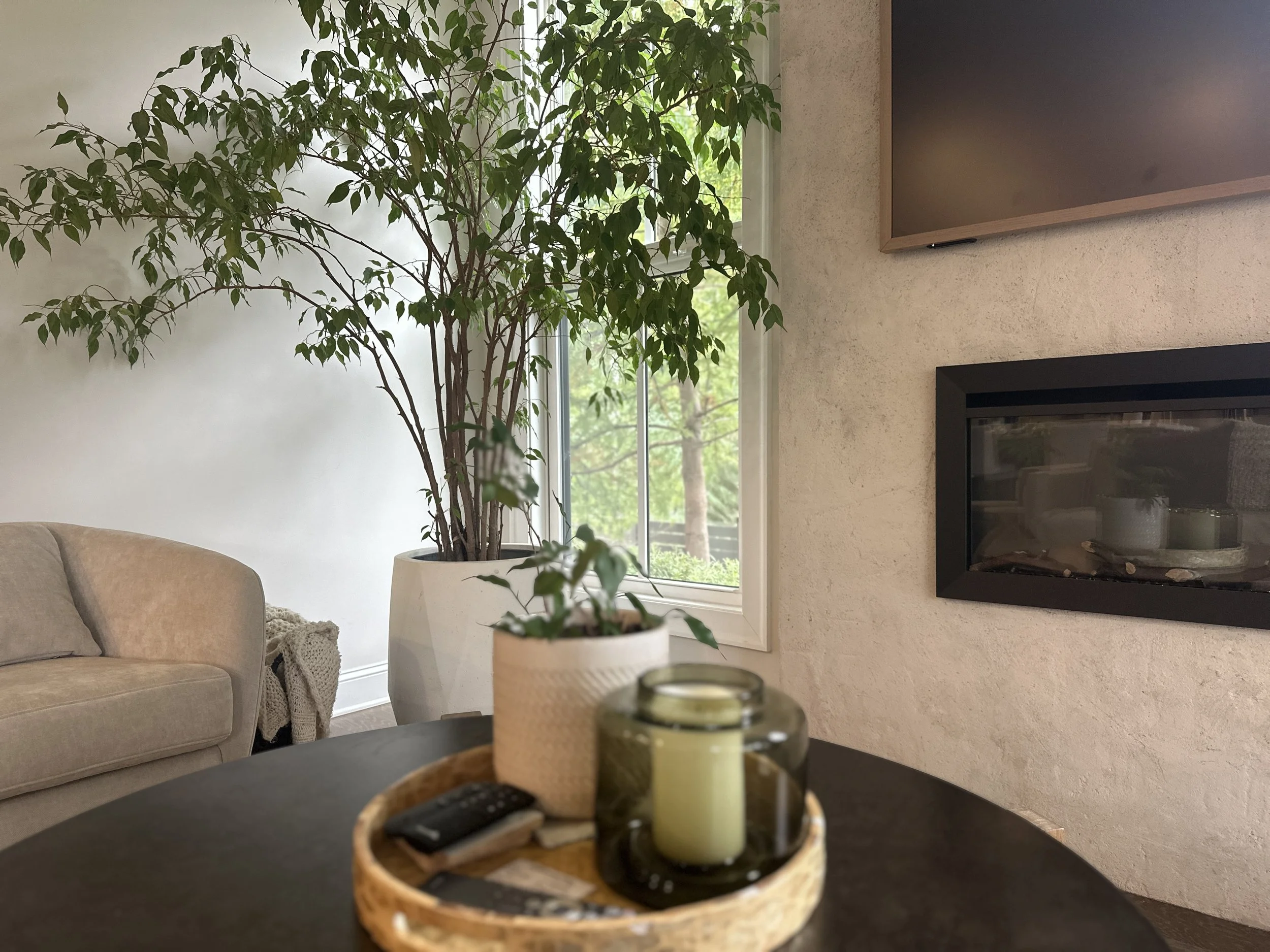 Living room scene with a beige sofa draped with a knitted throw, a large potted tree near the window, and a fireplace on a textured wall. A table in the foreground holds candles and a remote control.
