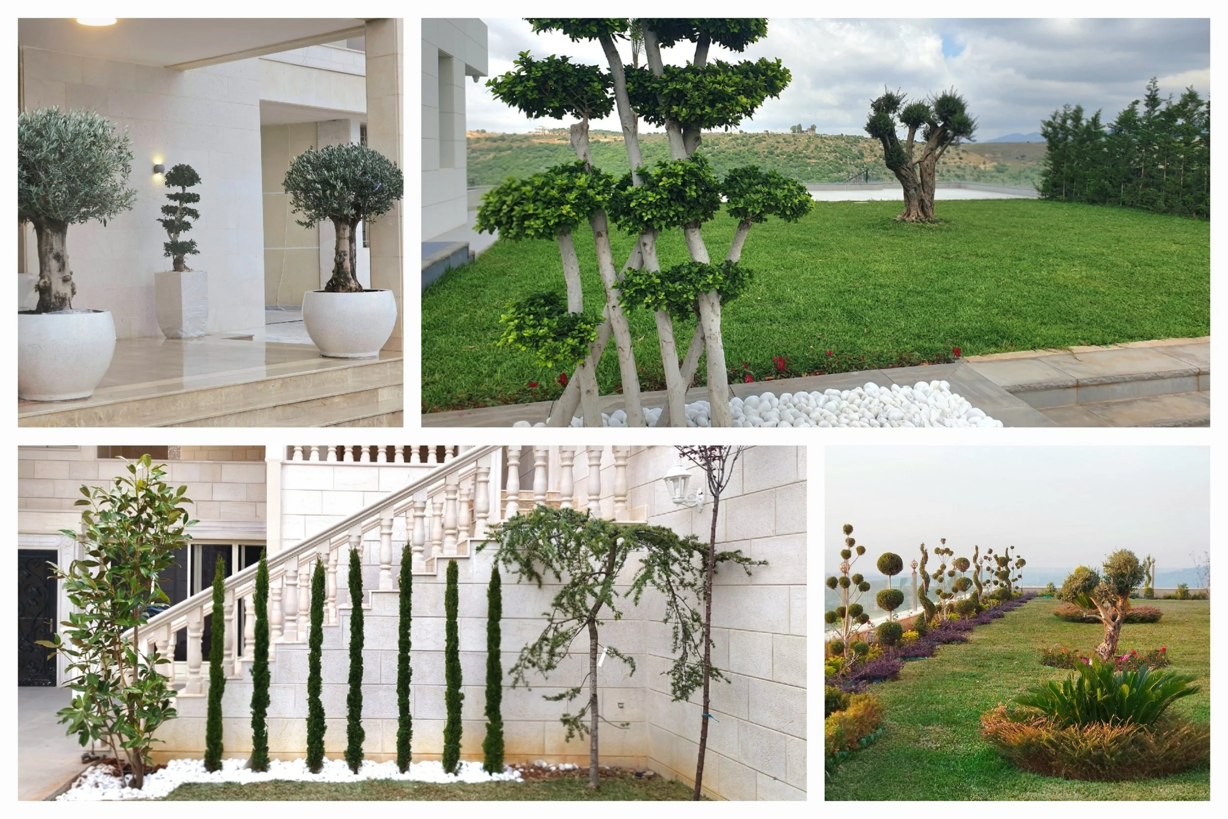 Image collage of landscaped outdoor and indoor areas with trees, shrubs, and decorative plants, featuring a modern building with white stone walls and a staircase.